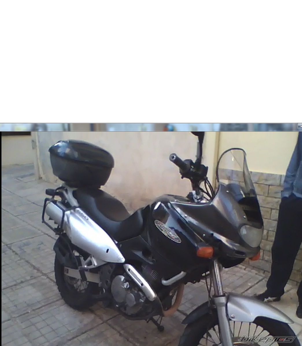 Photo 2299669