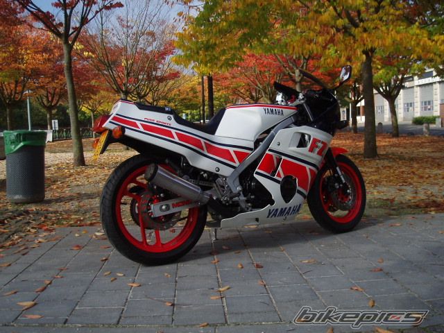 Photo 2299817