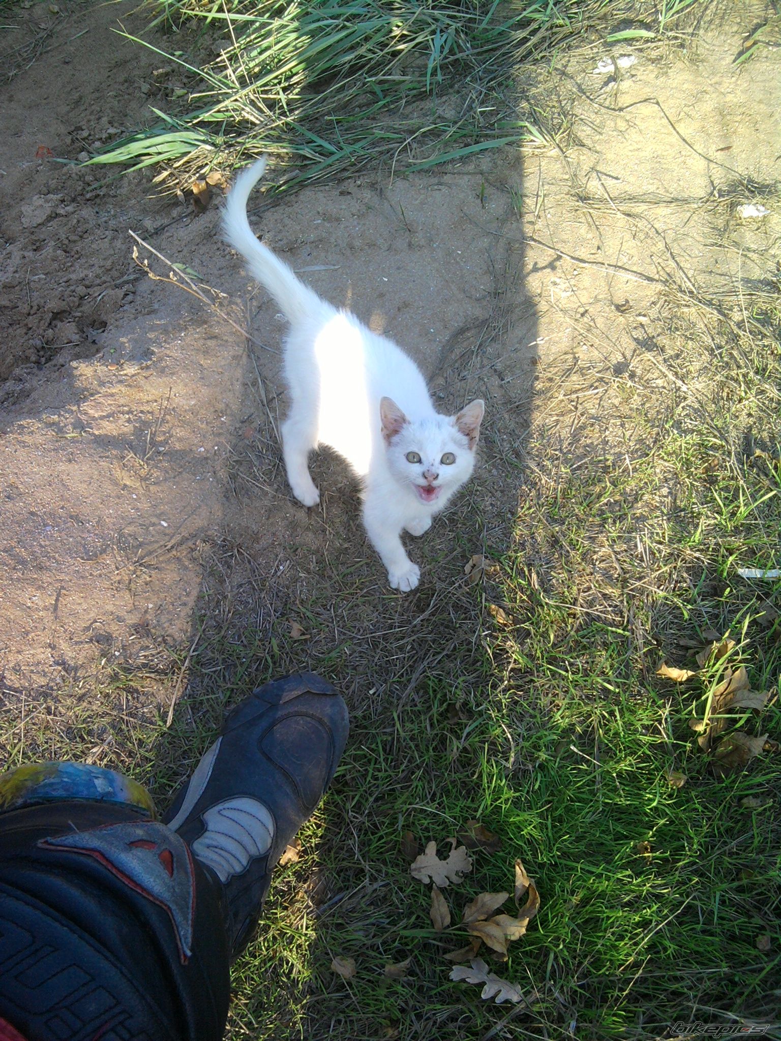 Photo 2299819