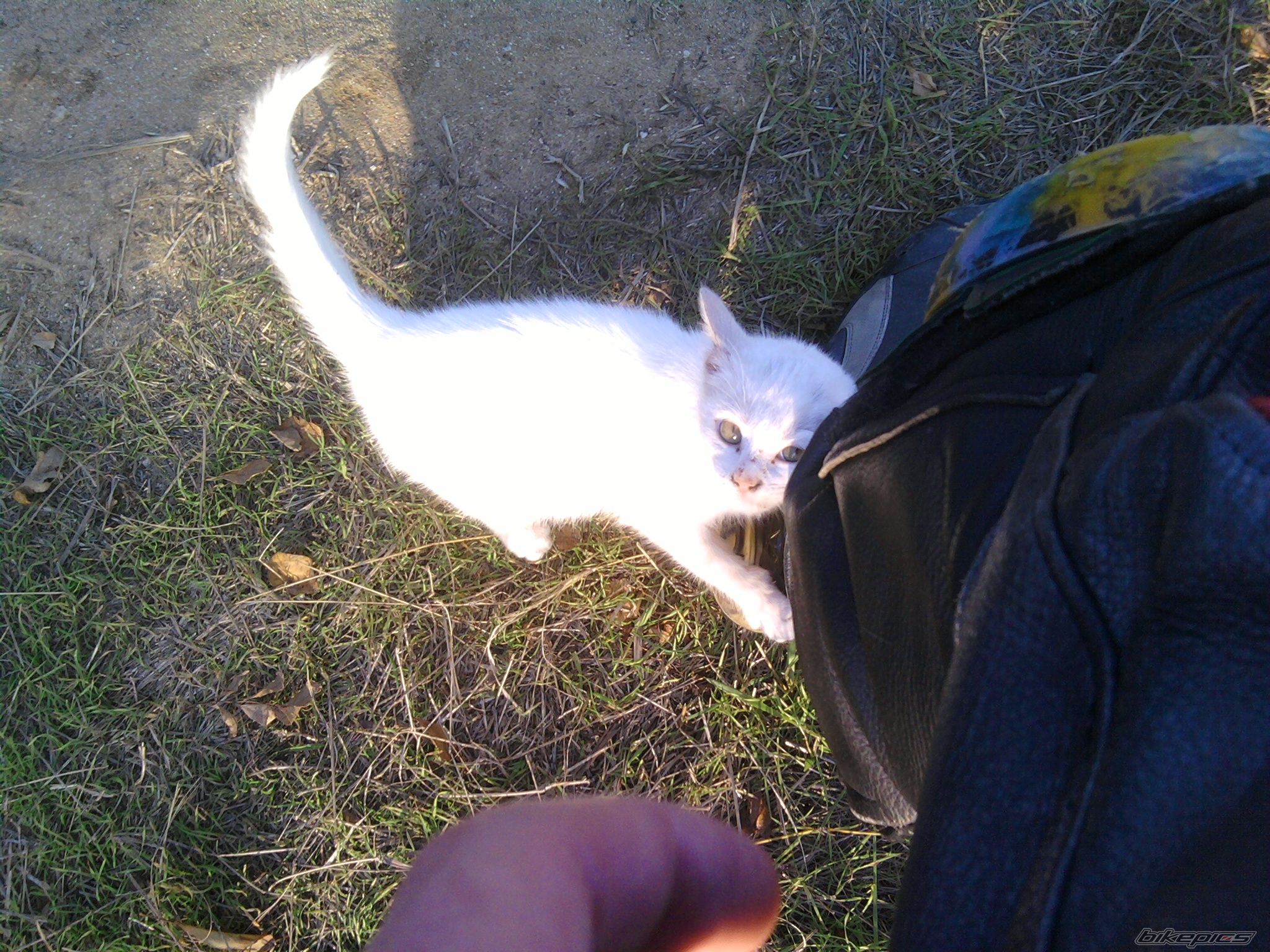 Photo 2299821