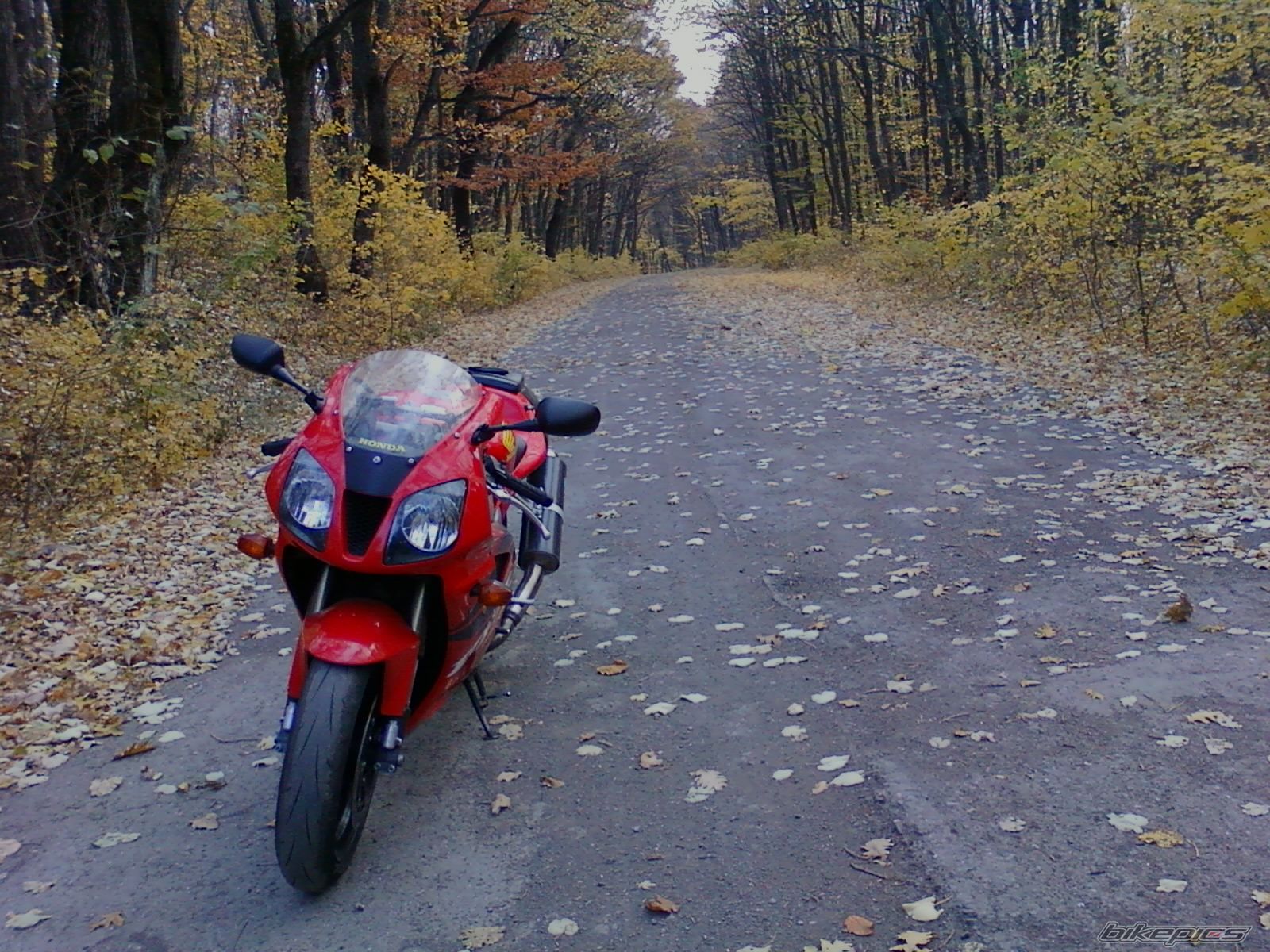 Photo 2299927