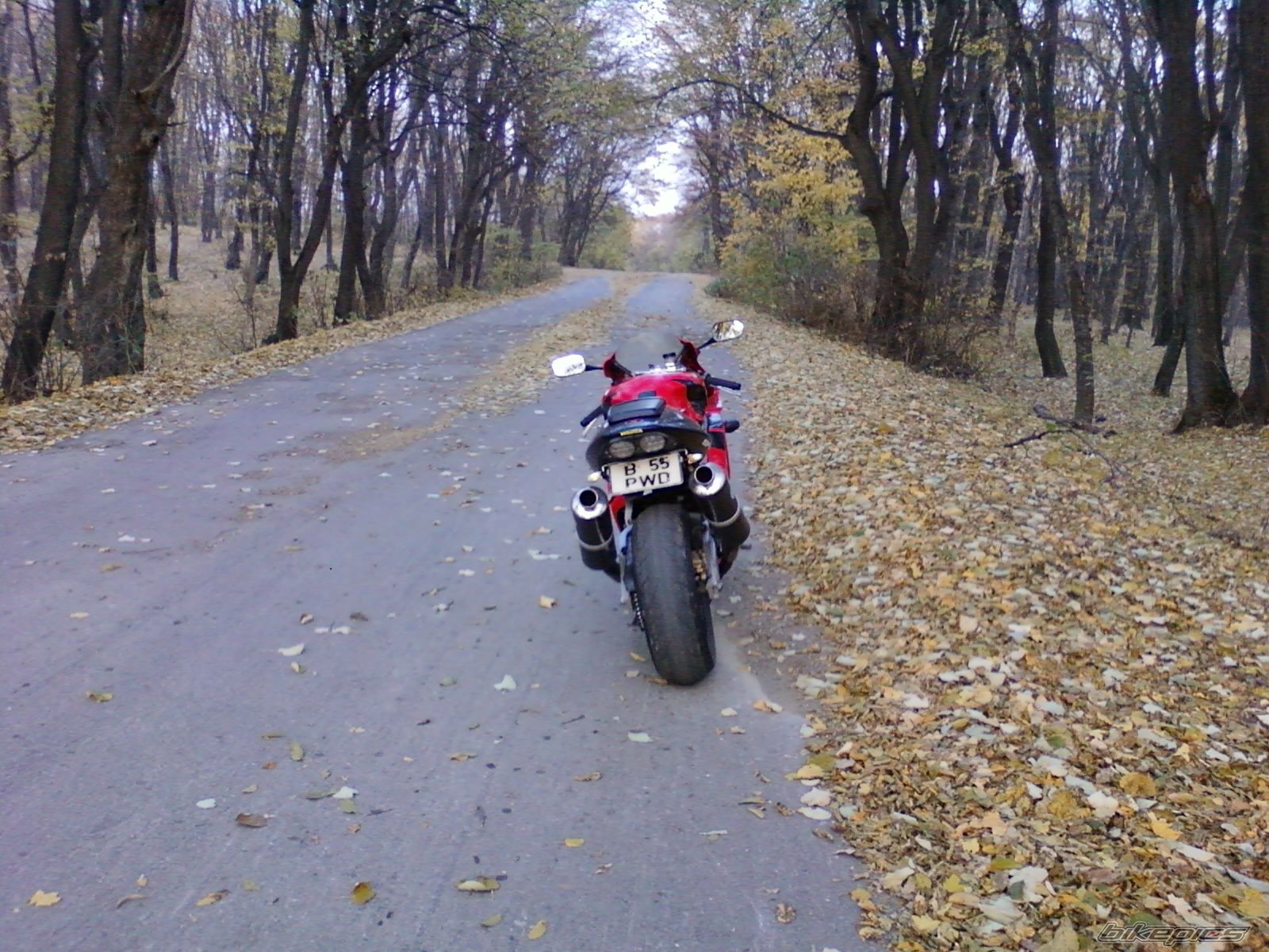 Photo 2299928