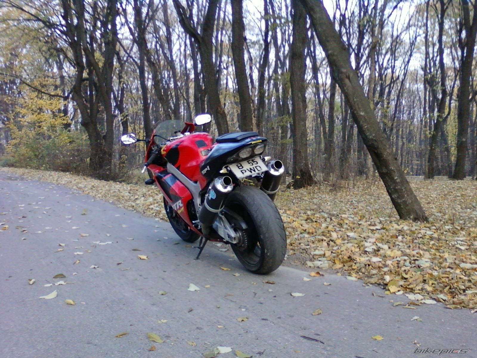 Photo 2299929