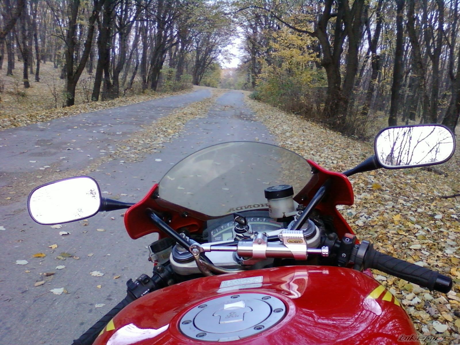Photo 2299932