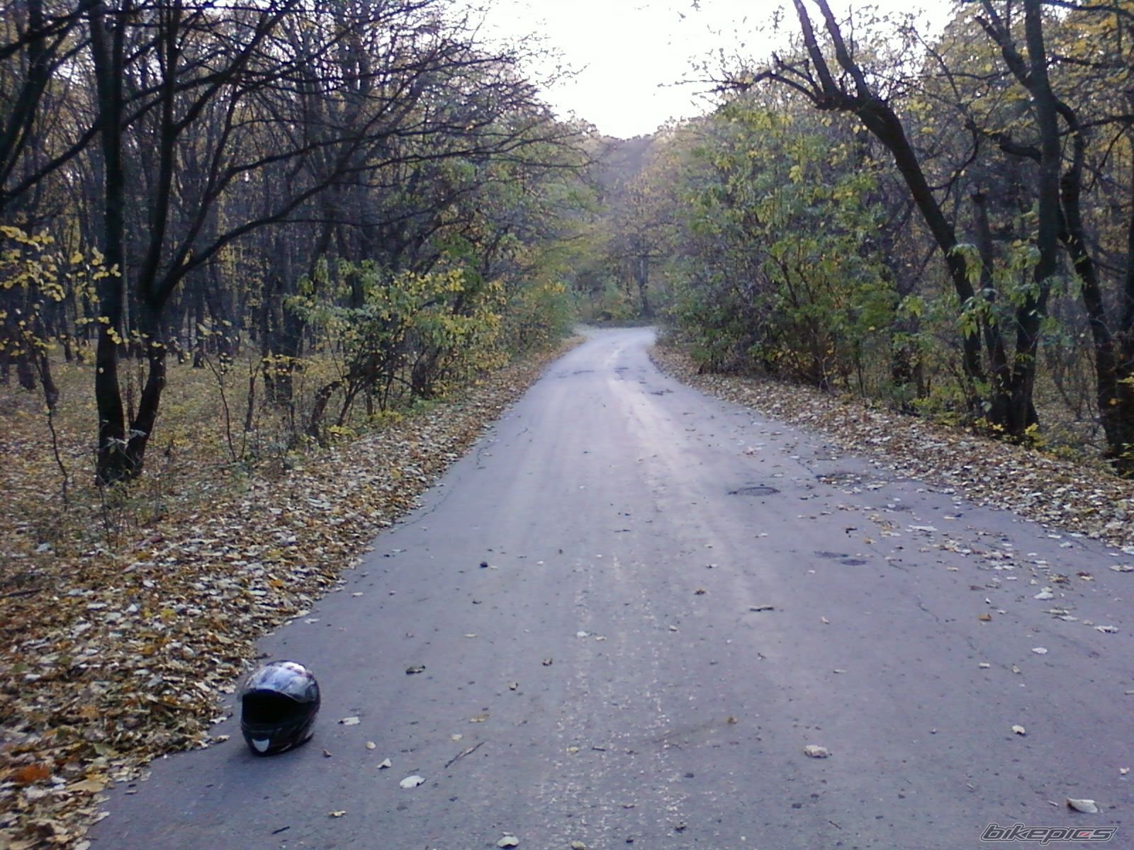 Photo 2299933
