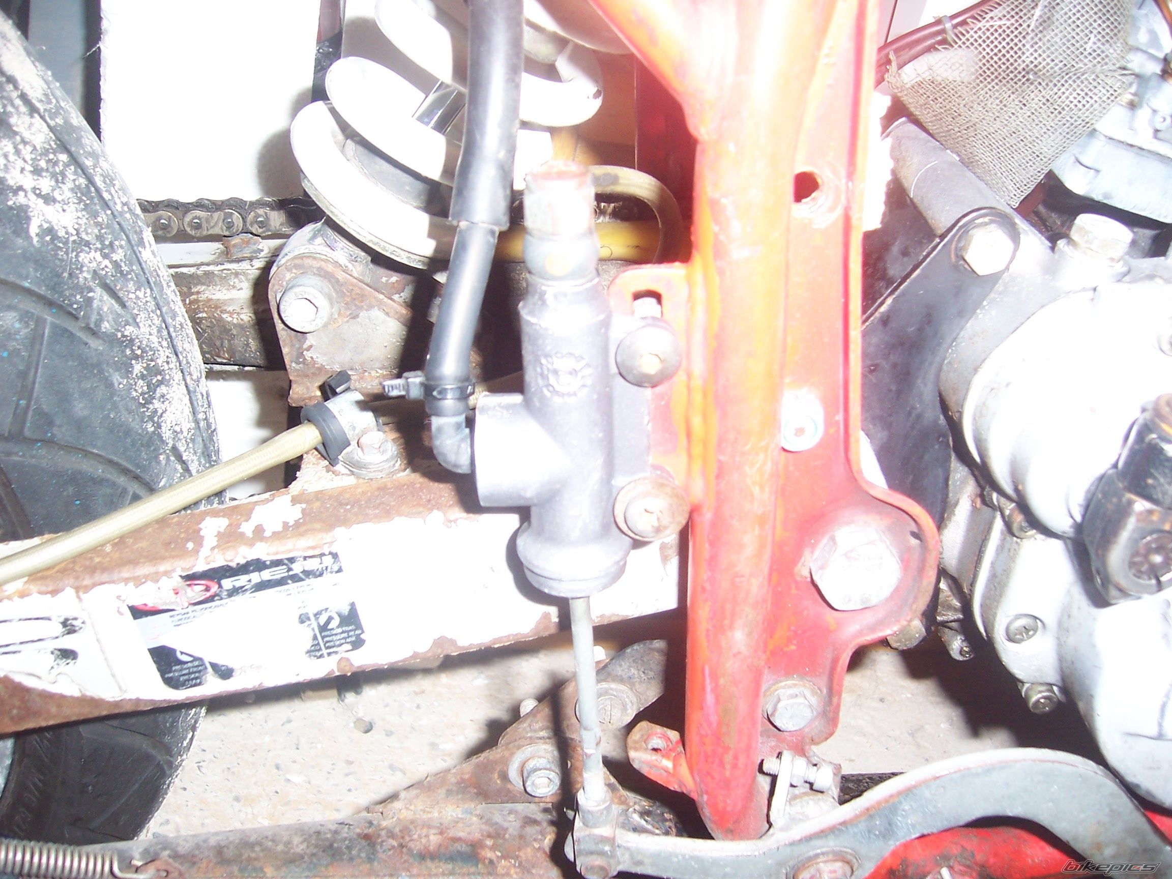 Photo 2299973
