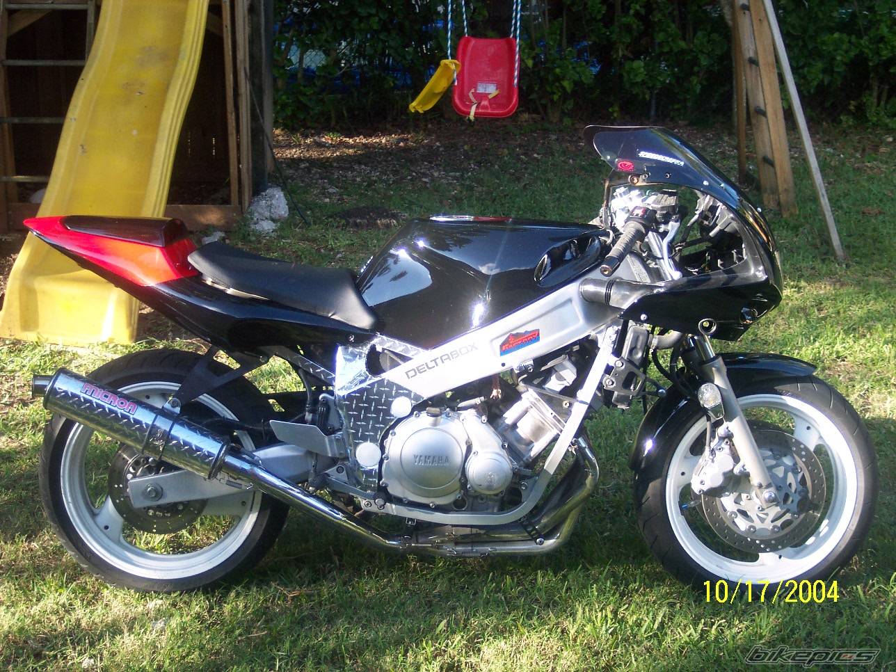 Photo 229998