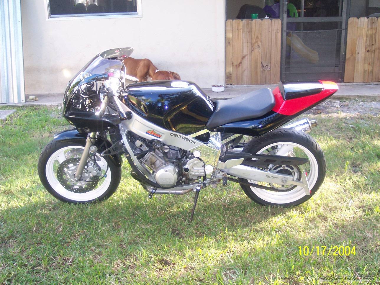 Photo 229999