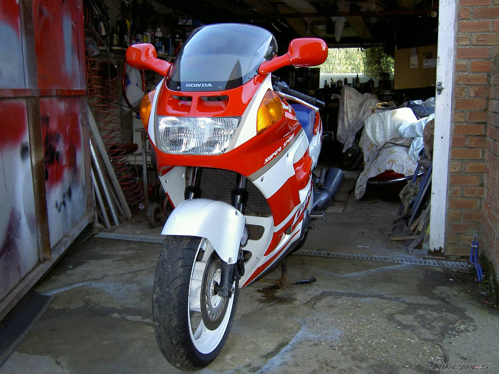 Photo 230005