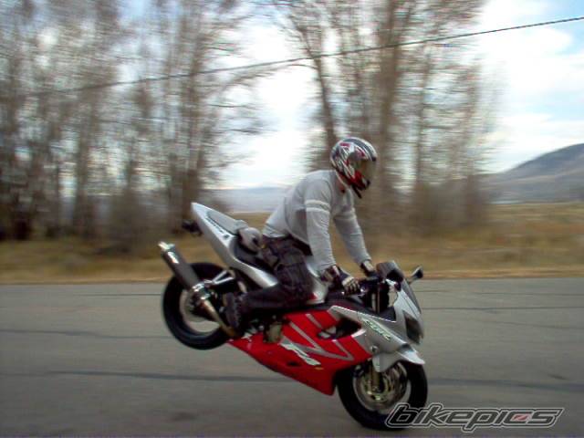 Photo 230009
