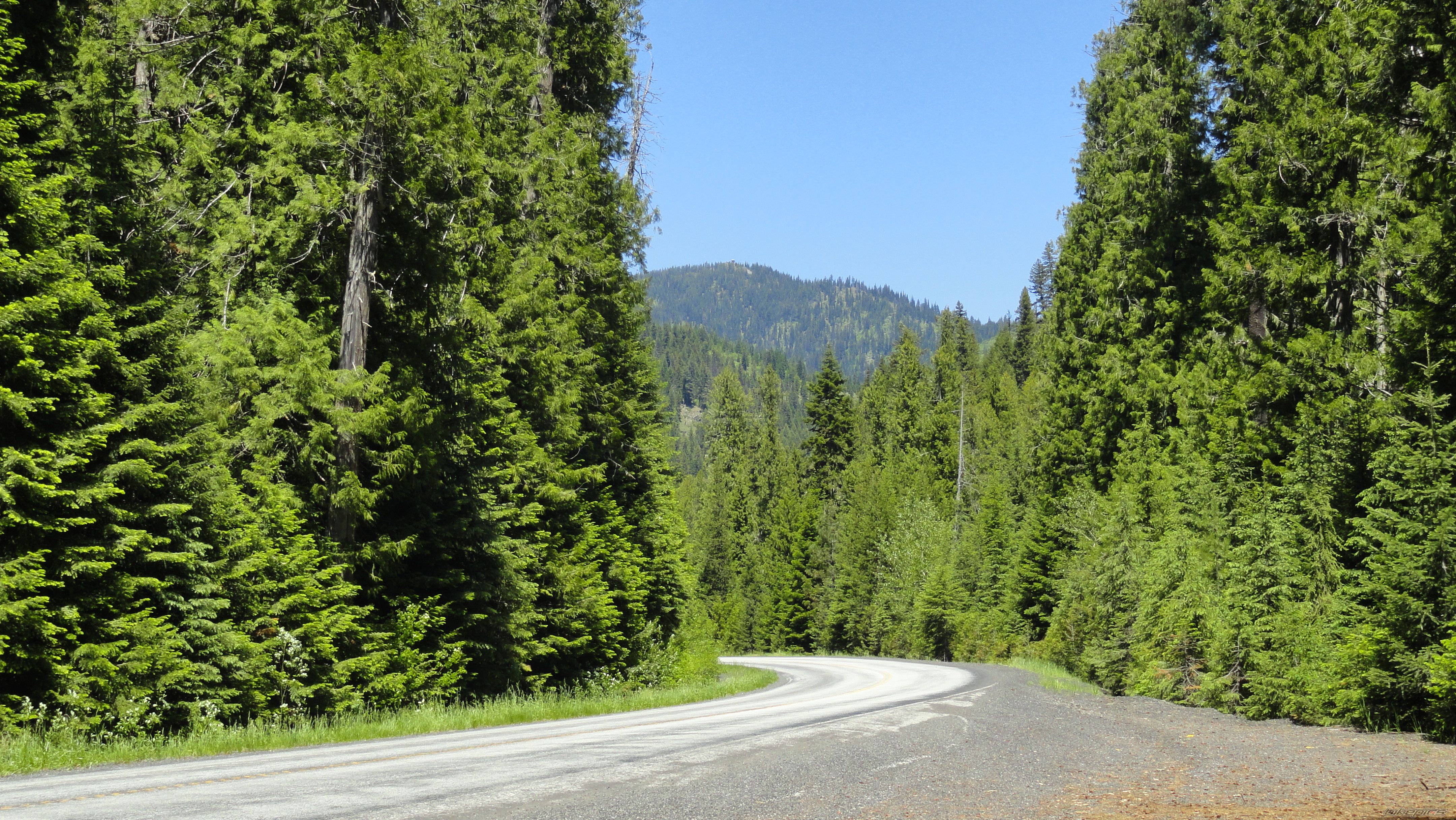 Bike Photo 2300090