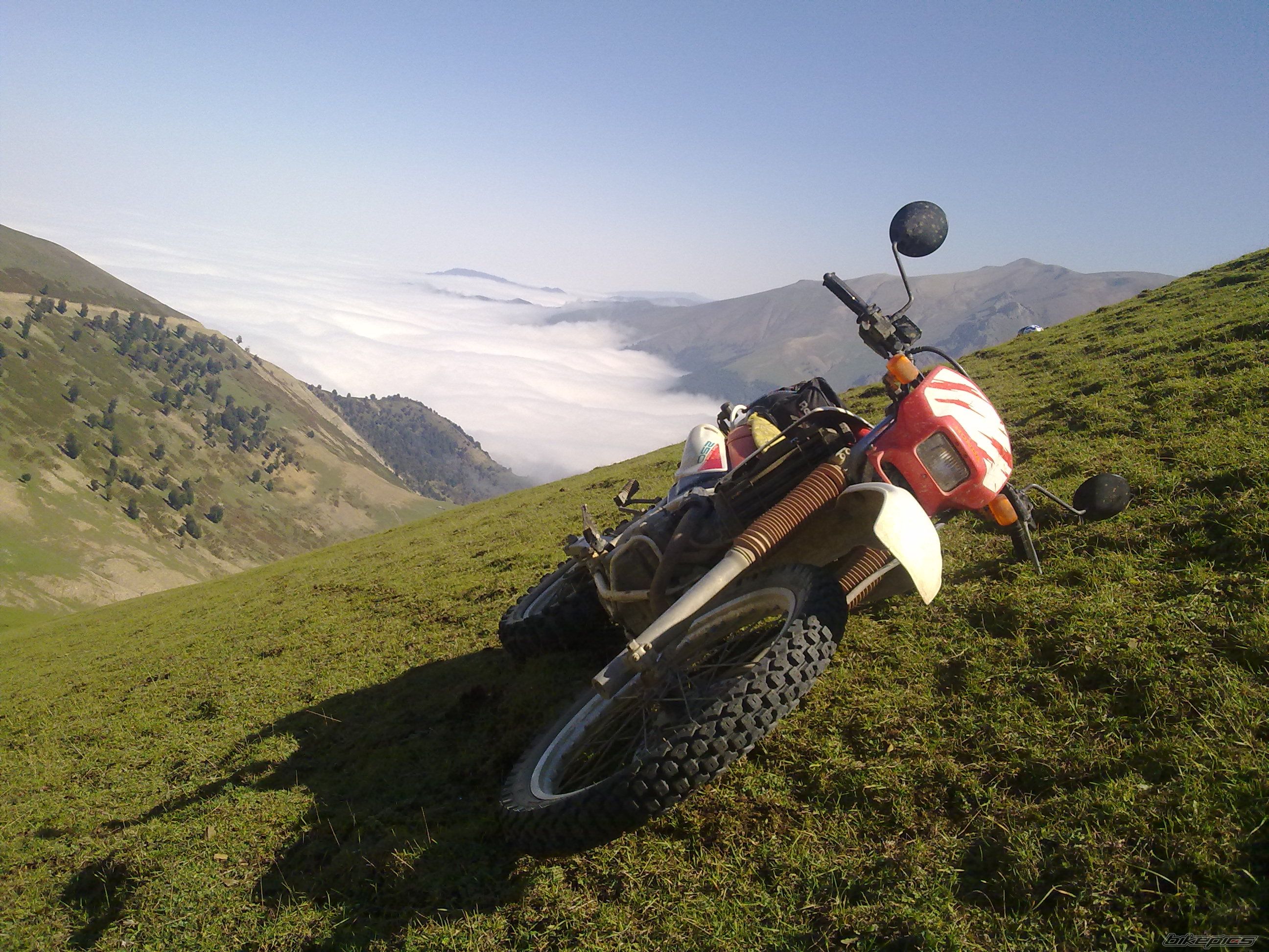 Bike Photo 2300119