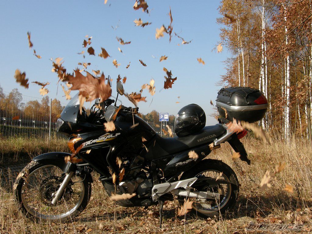 Photo 2300126