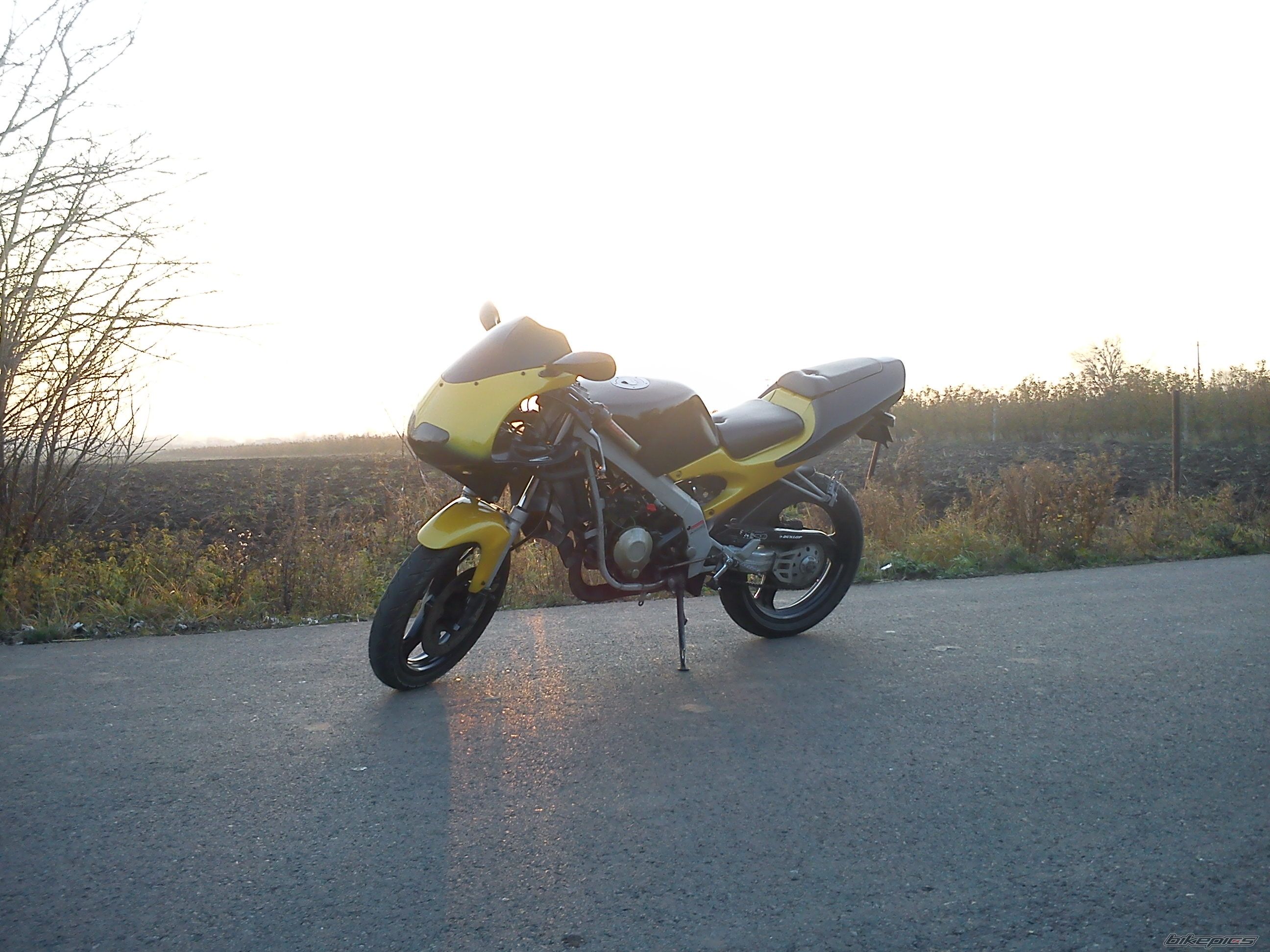 Photo 2300138