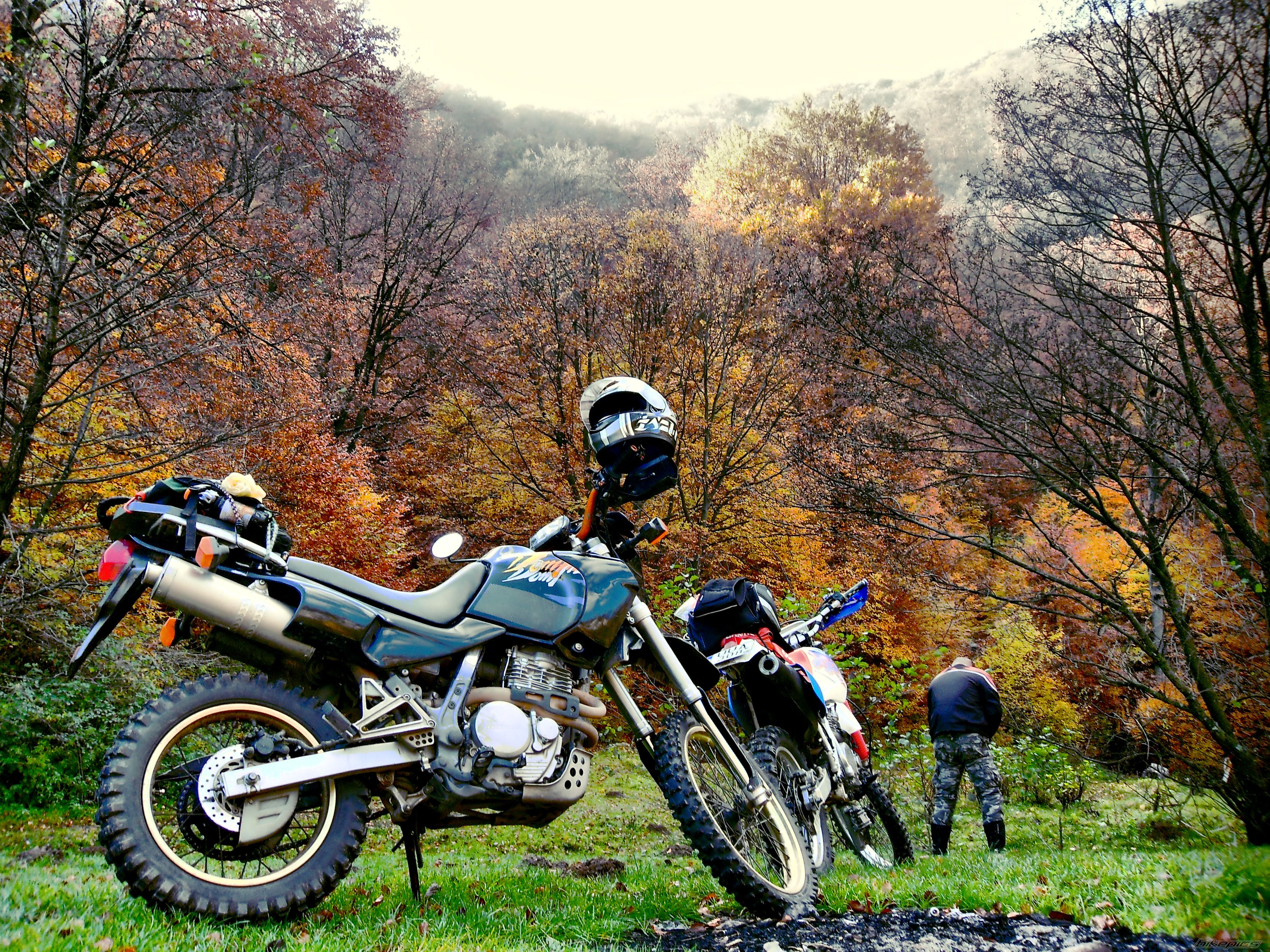 Bike Photo 2300189