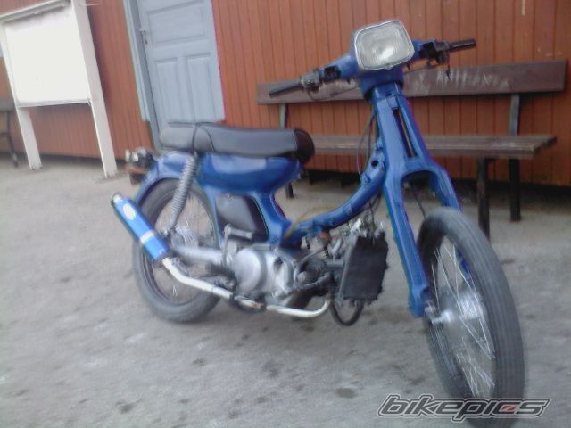 Photo 2300199