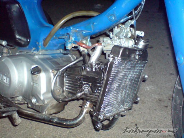 Photo 2300210