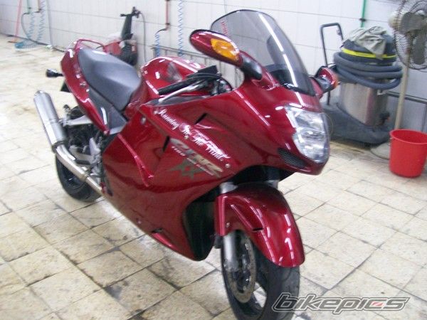 Photo 2300266