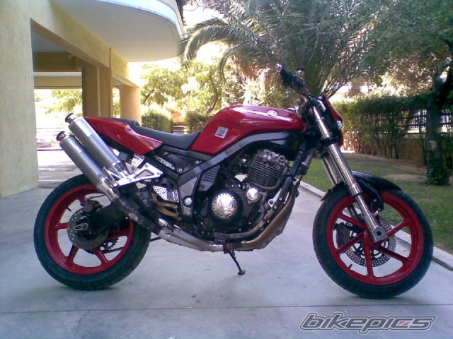 Photo 2300386