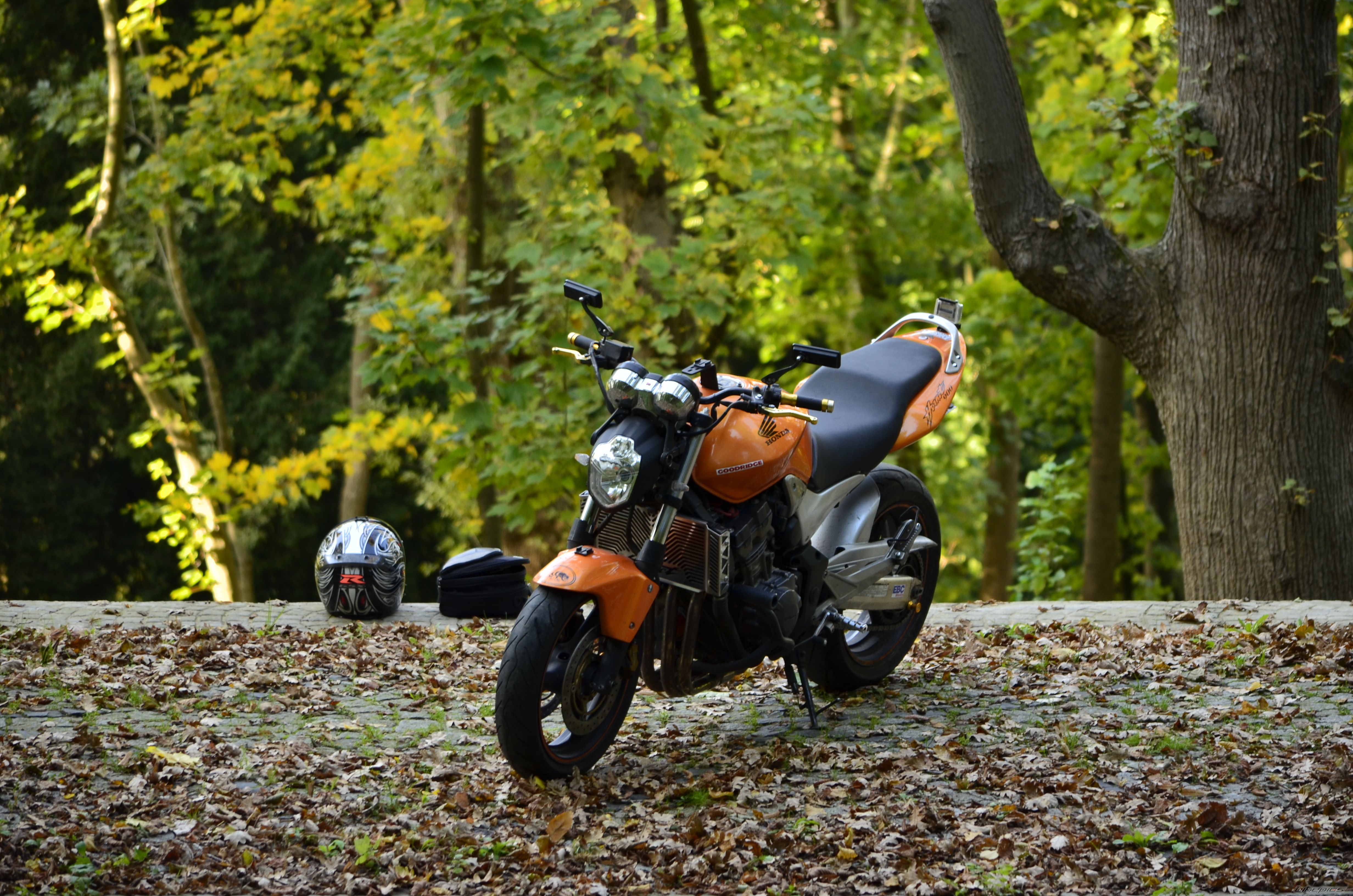 Bike Photo 2300444