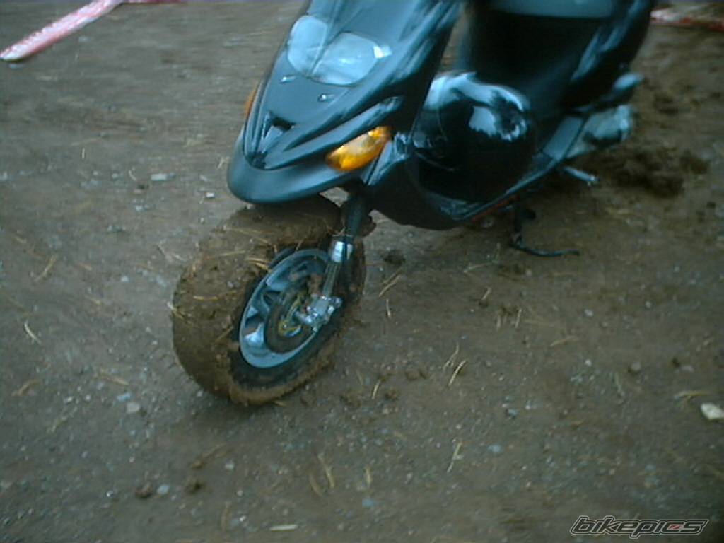 Photo 230048