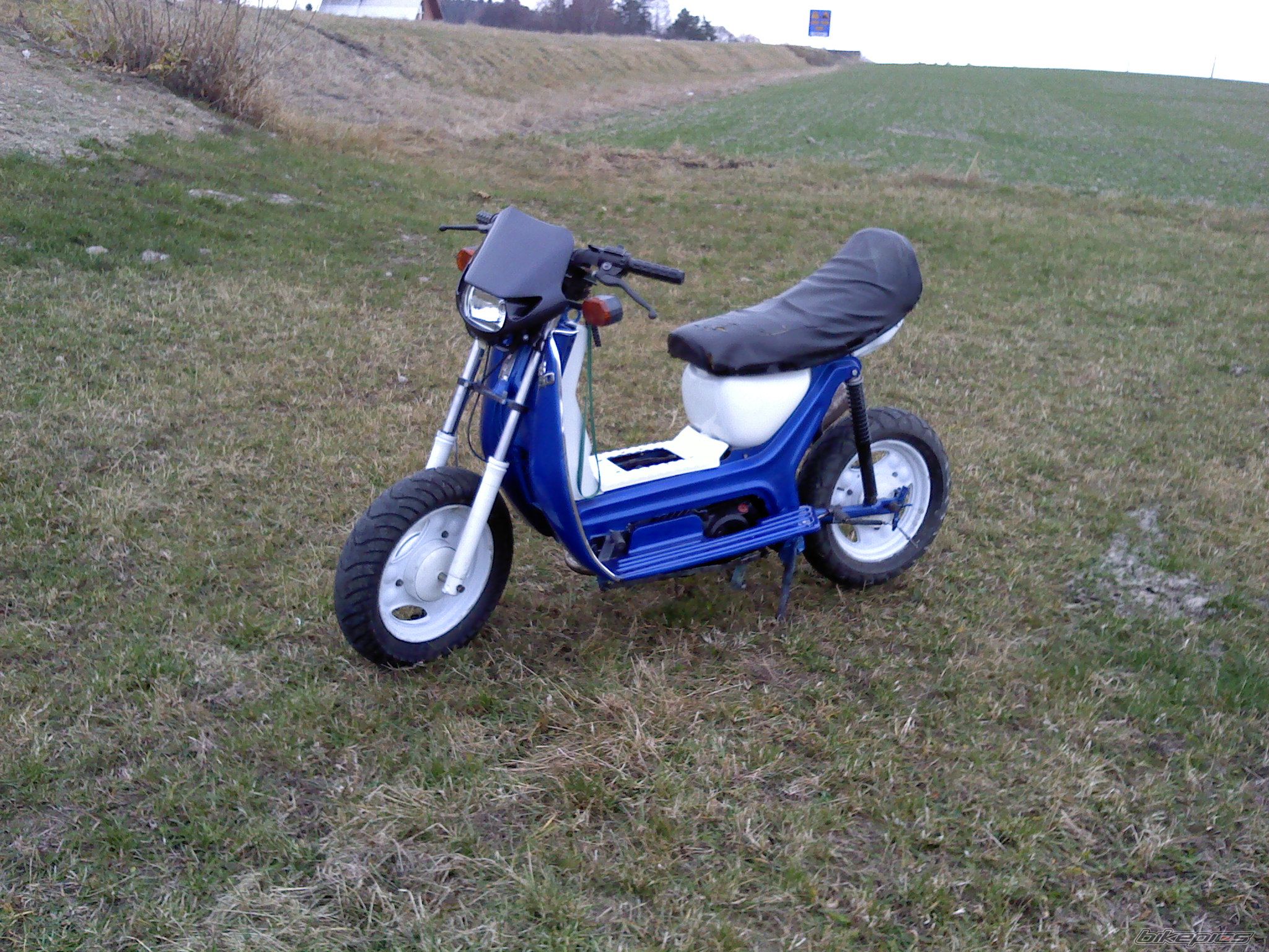 Photo 2300558