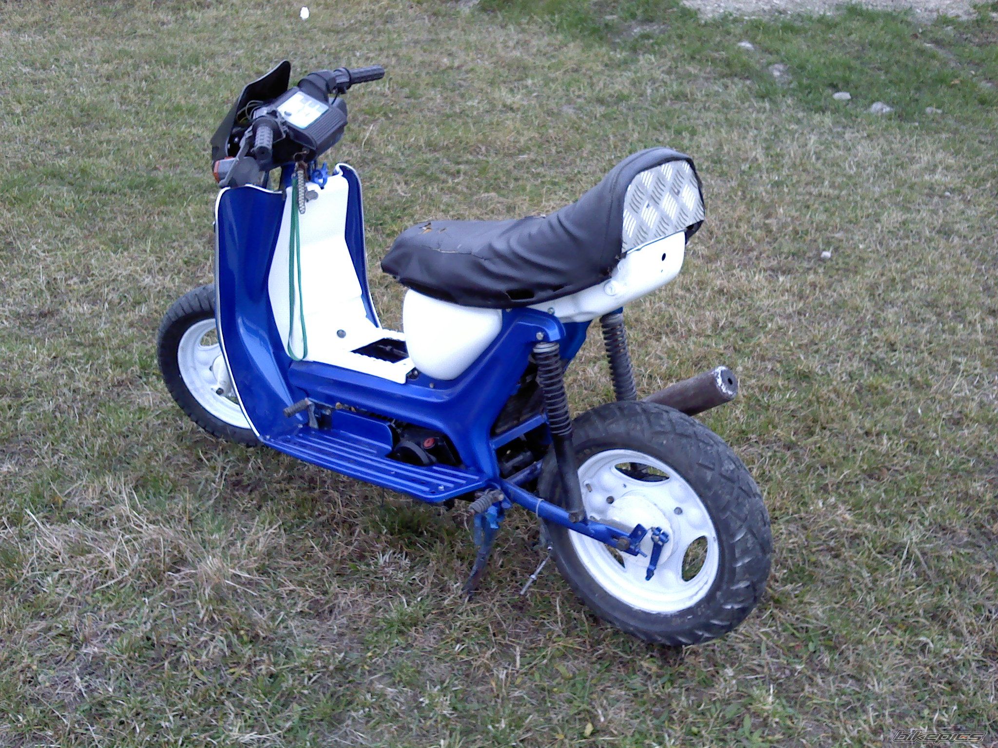 Photo 2300561