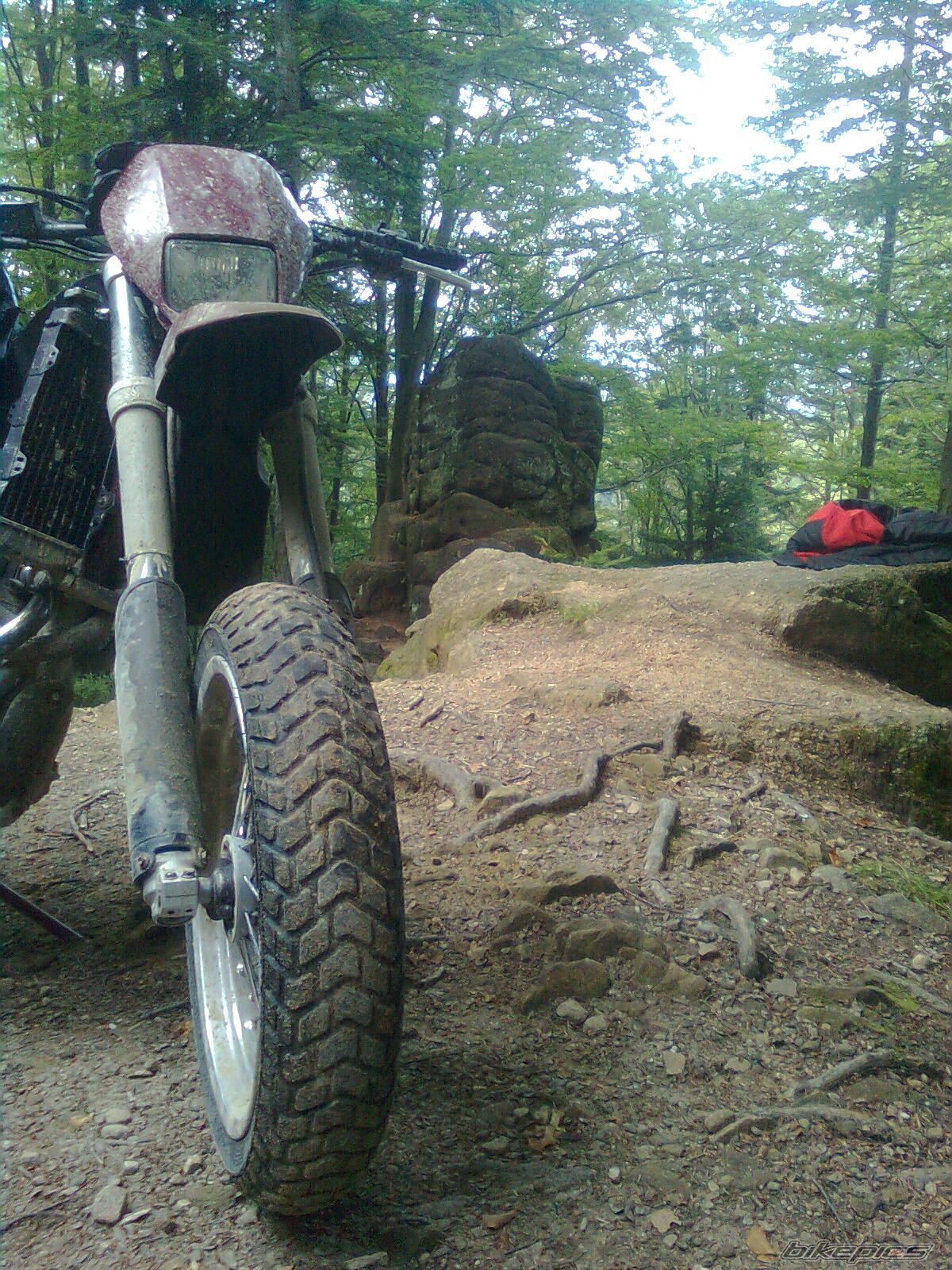 Photo 2300575