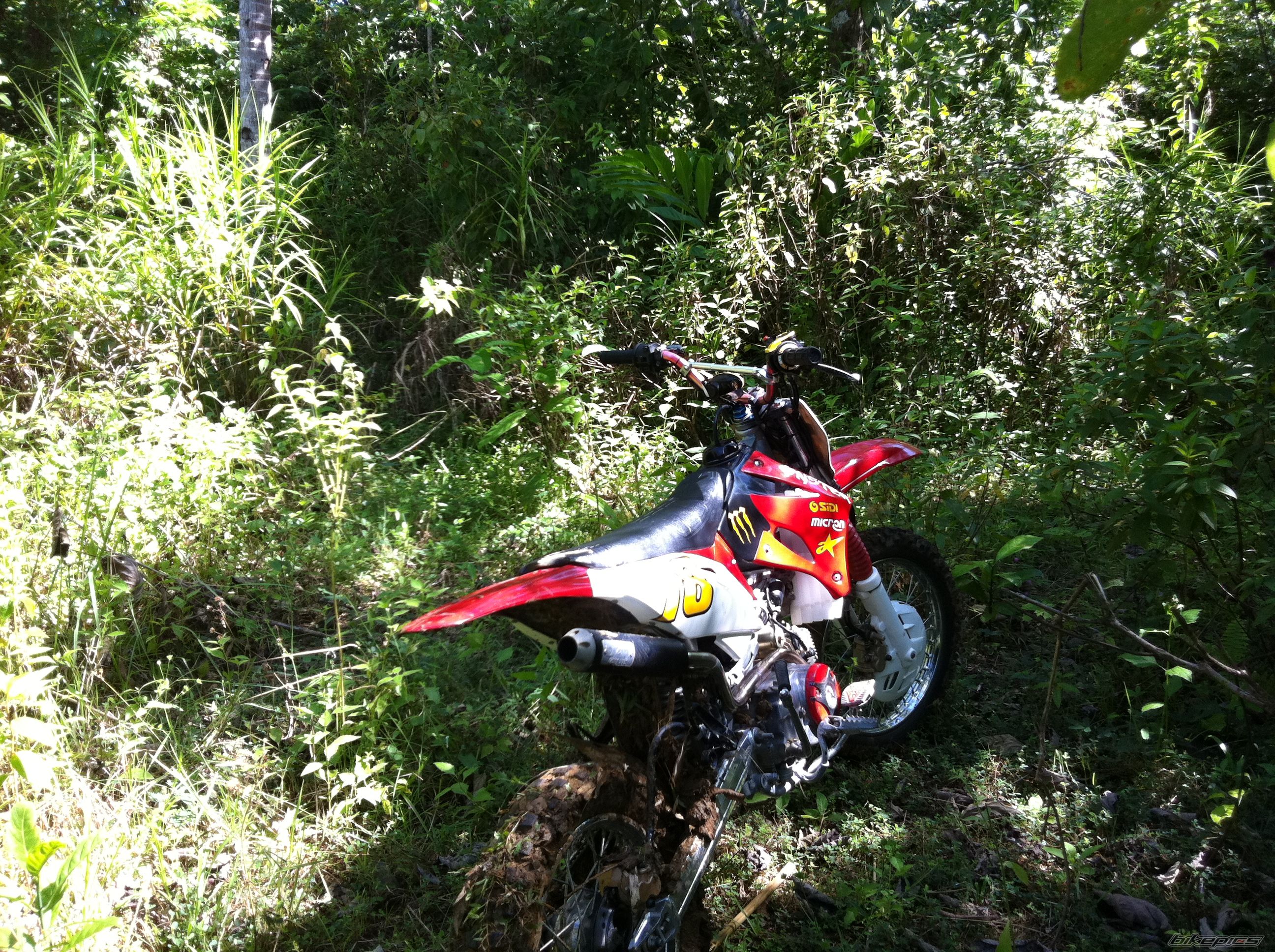 Bike Photo 2300591