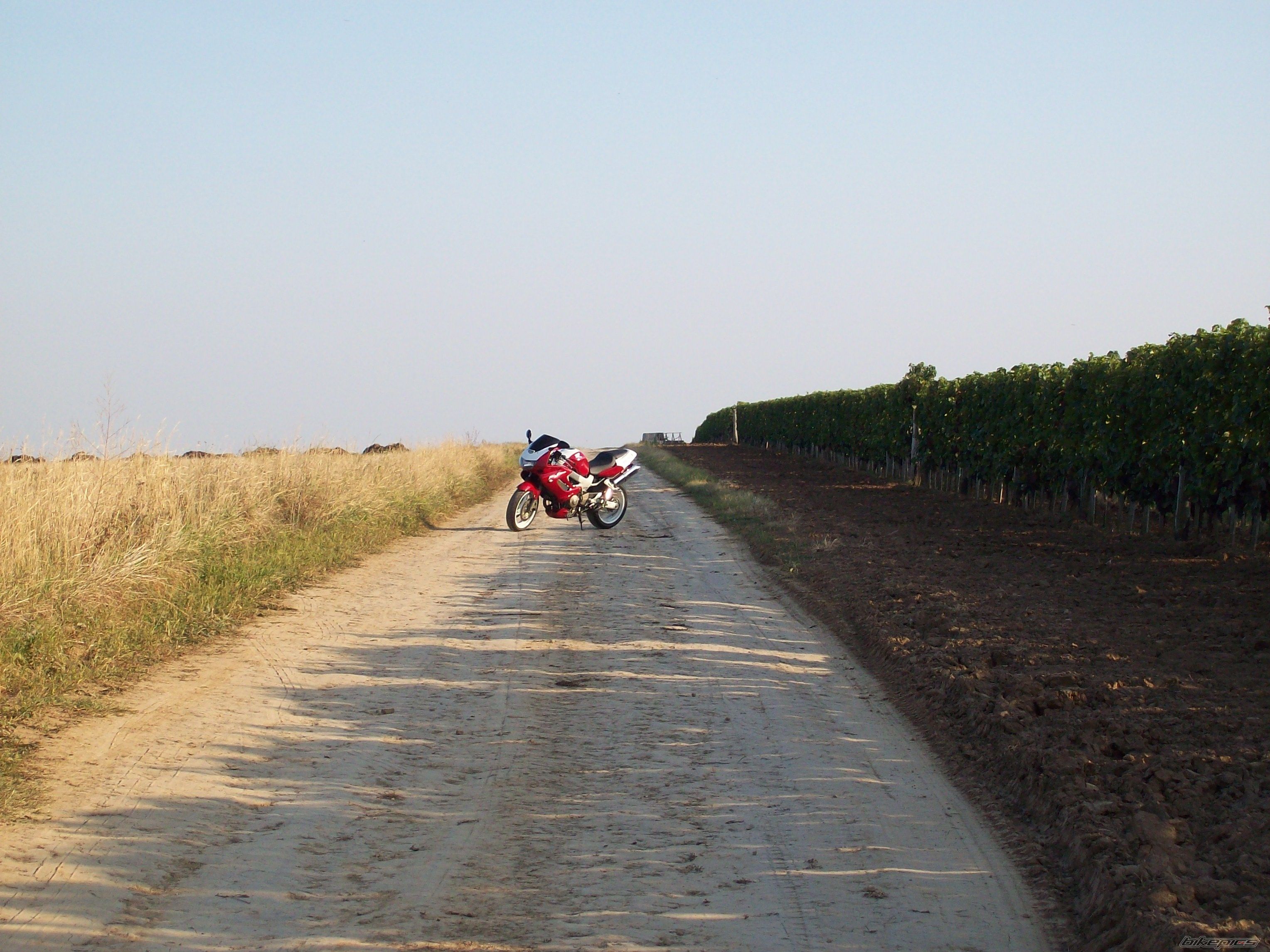 Photo 2300669