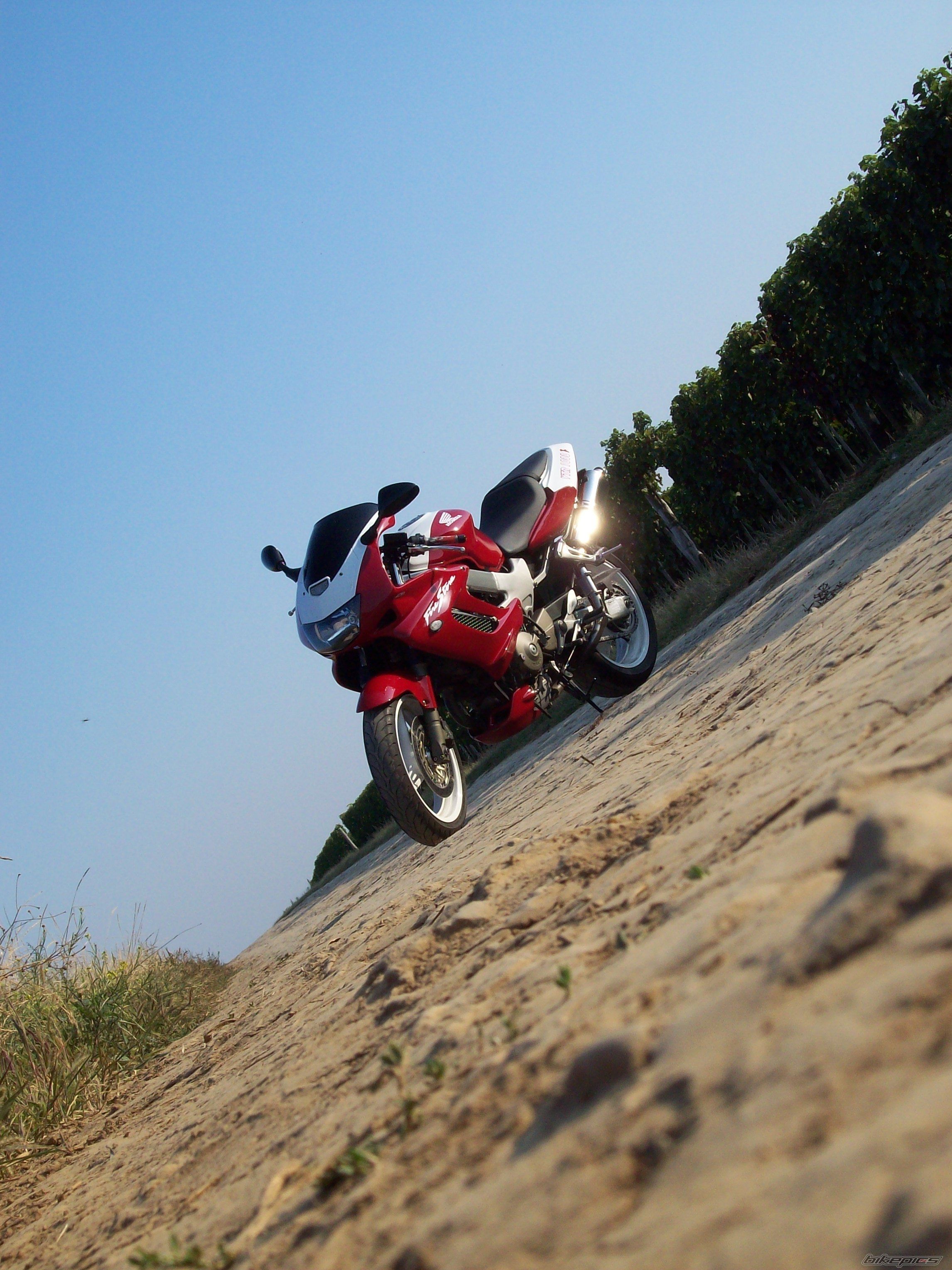 Photo 2300674