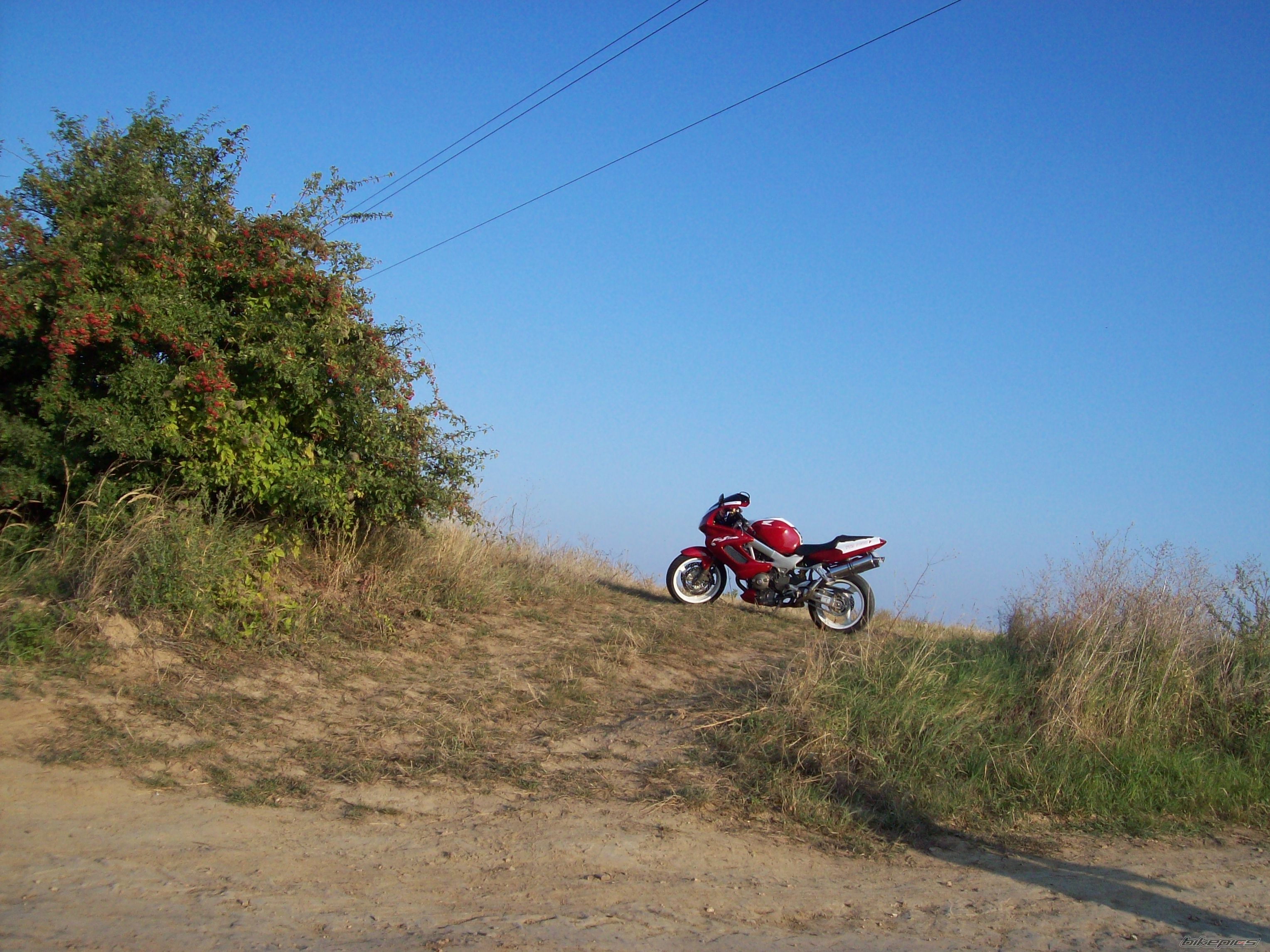 Photo 2300682