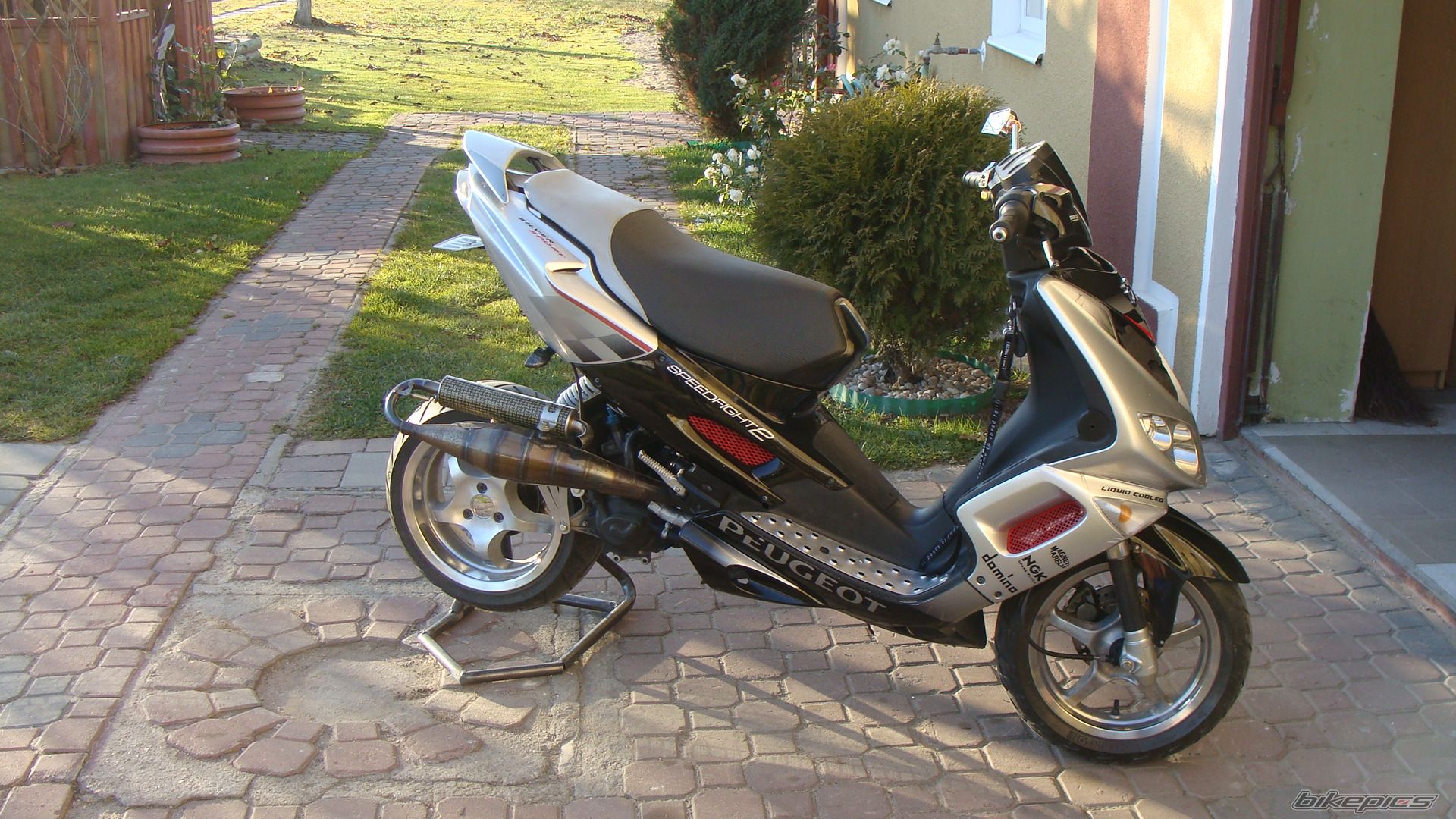 Photo 2300695