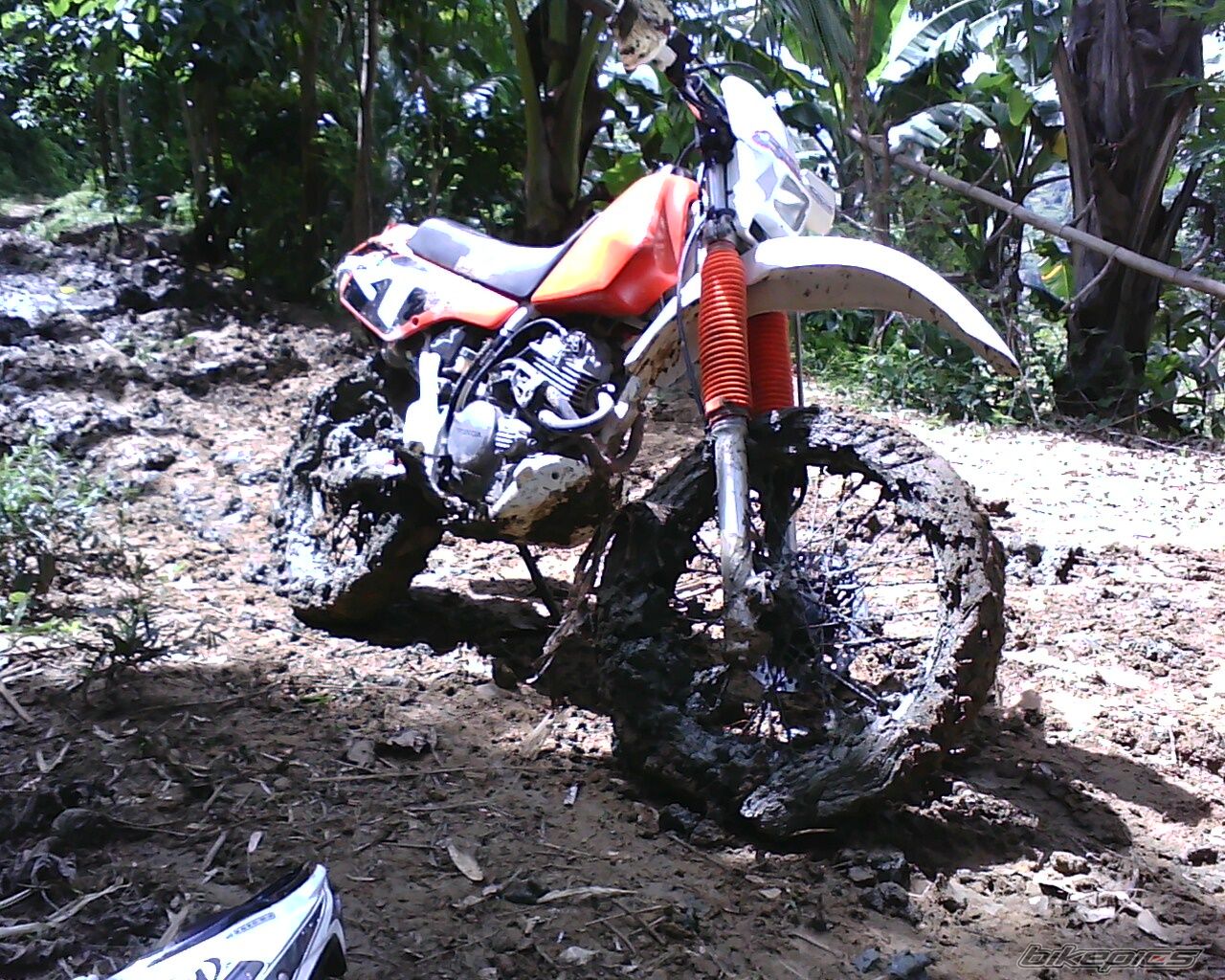 Photo 2300781