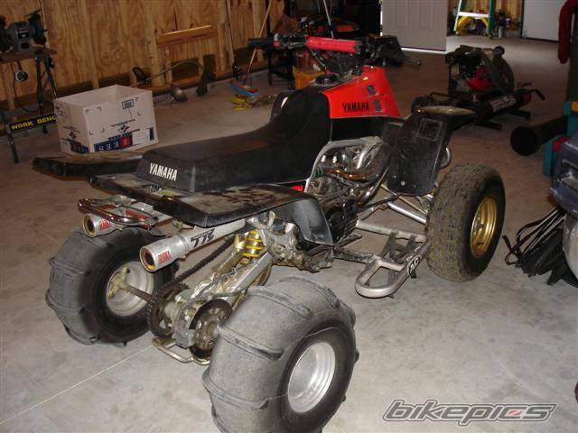 Photo 230097
