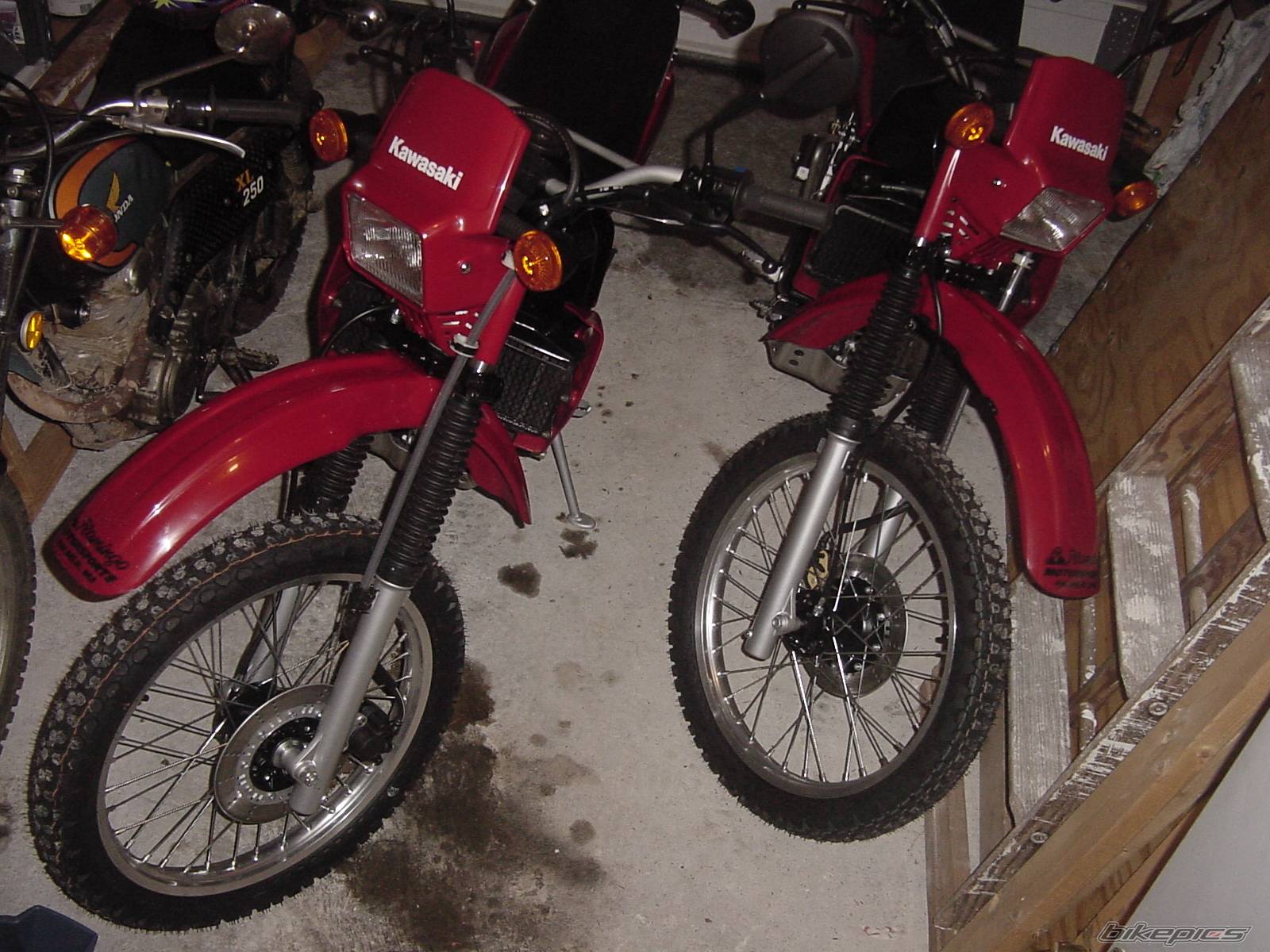 Photo 230101