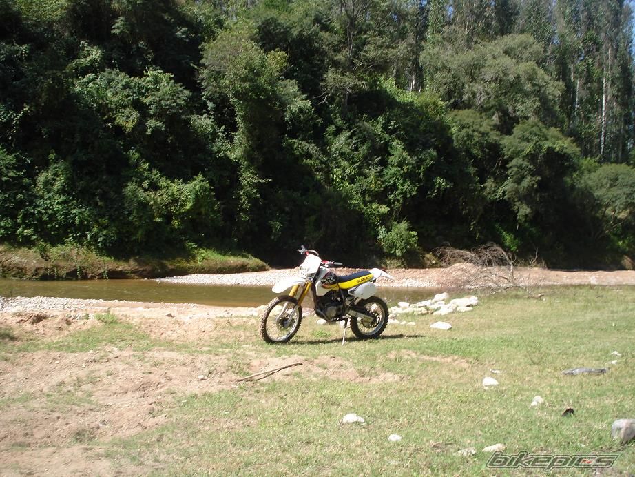 Photo 2301046