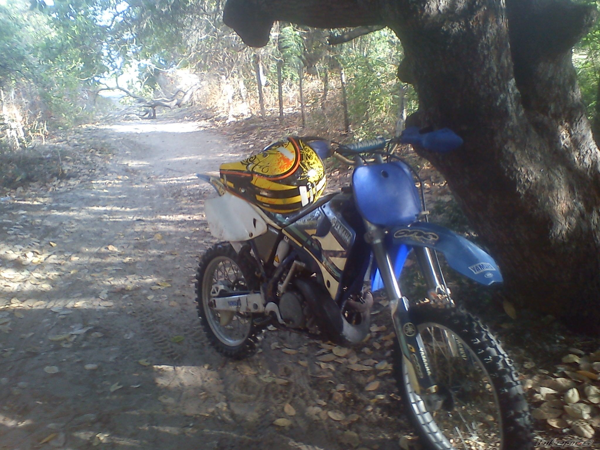 Bike Photo 2301048
