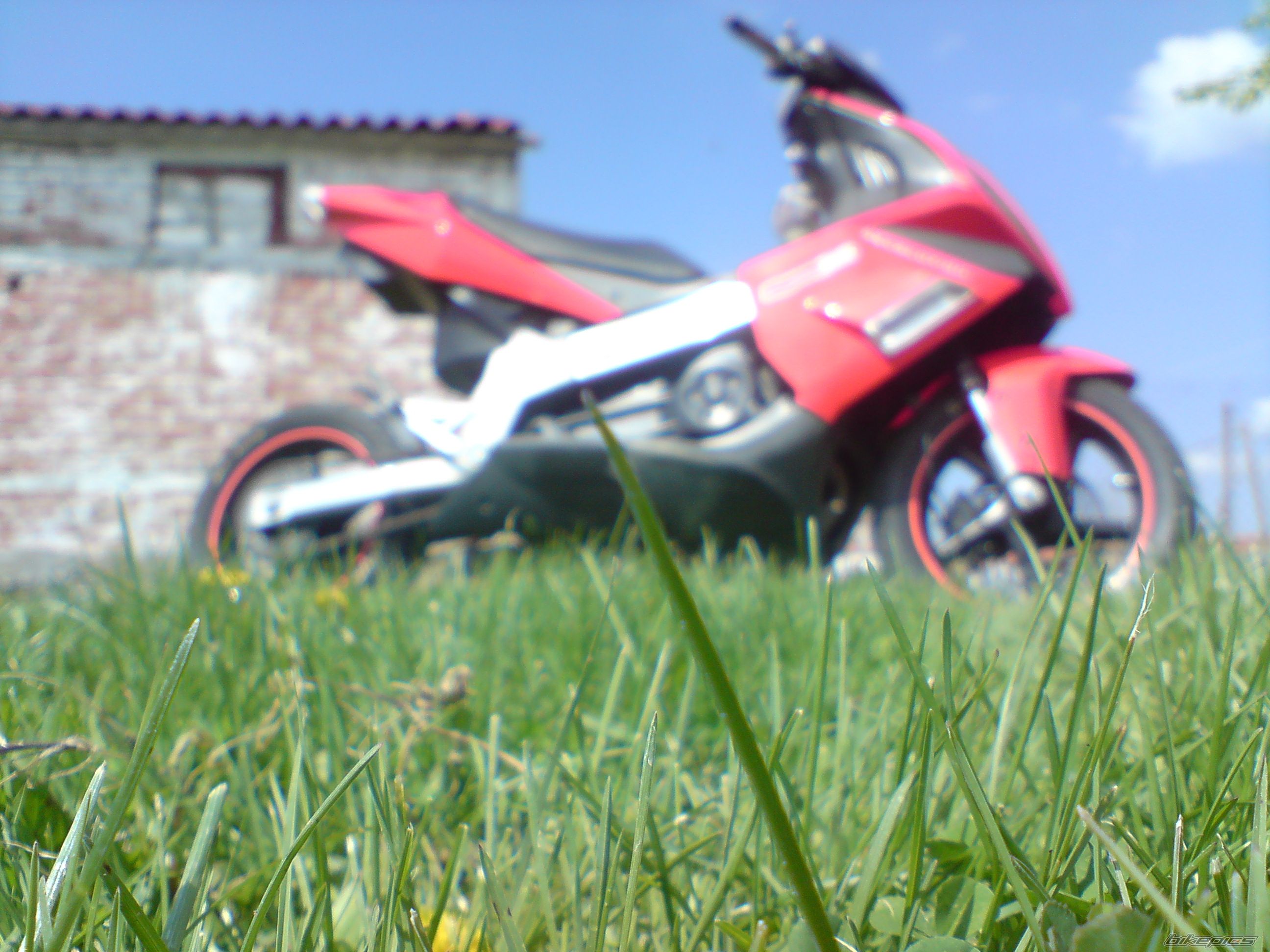 Photo 2301213