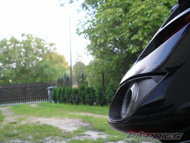 Photo 2301398
