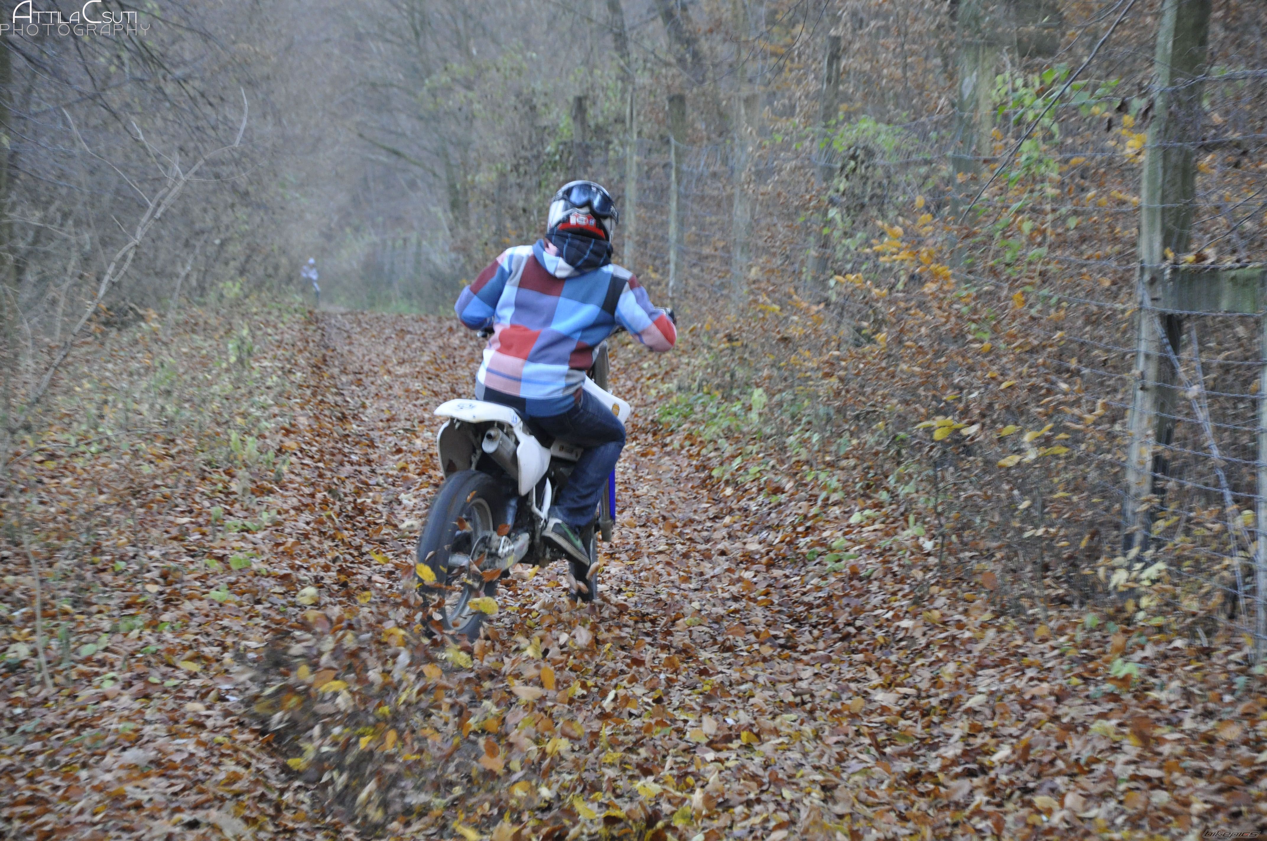 Photo 2301485