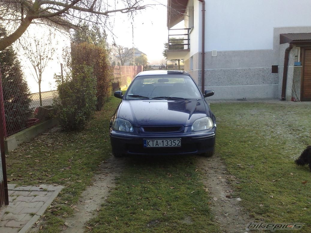 Photo 2301513