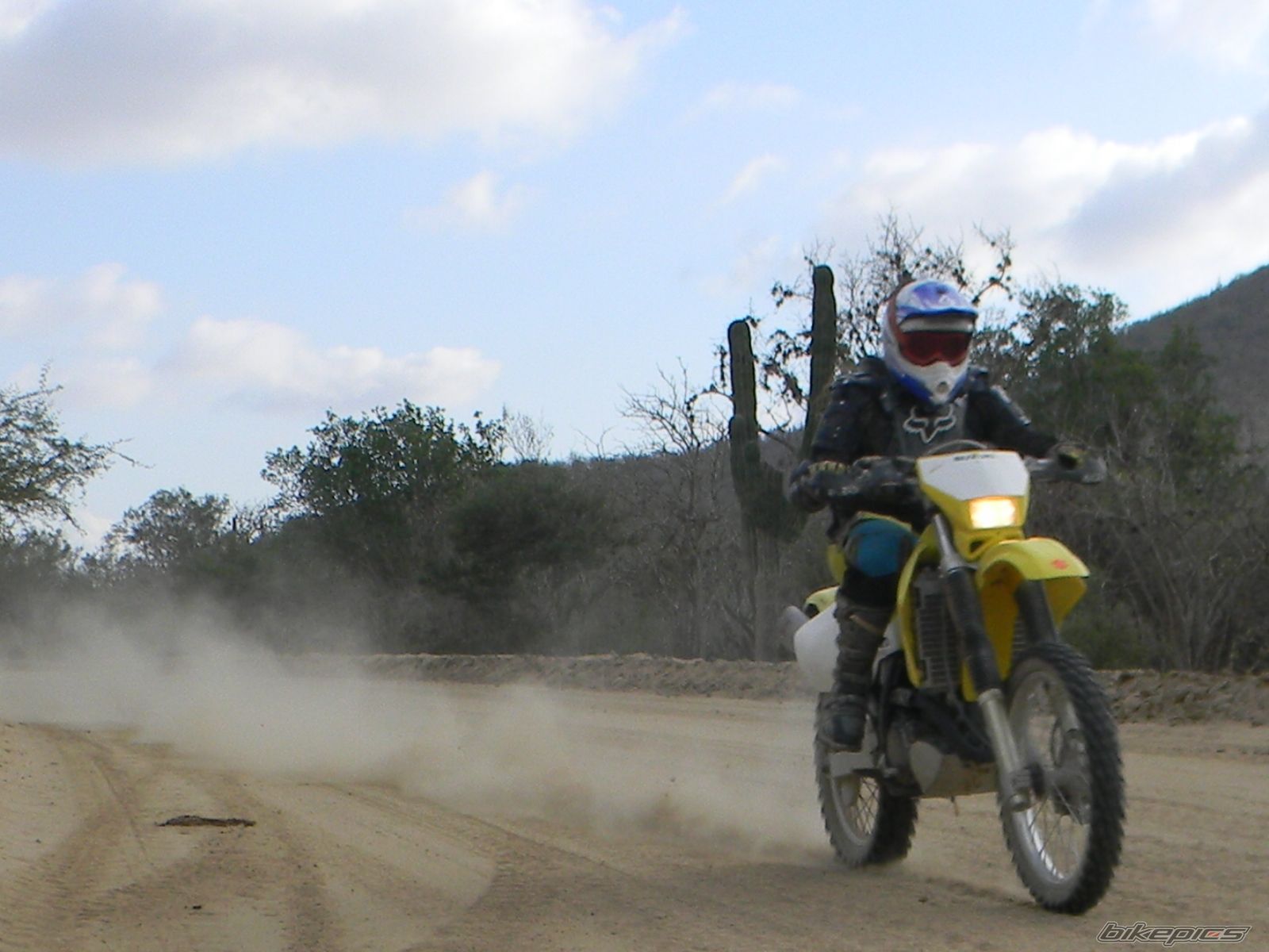 Photo 2301584