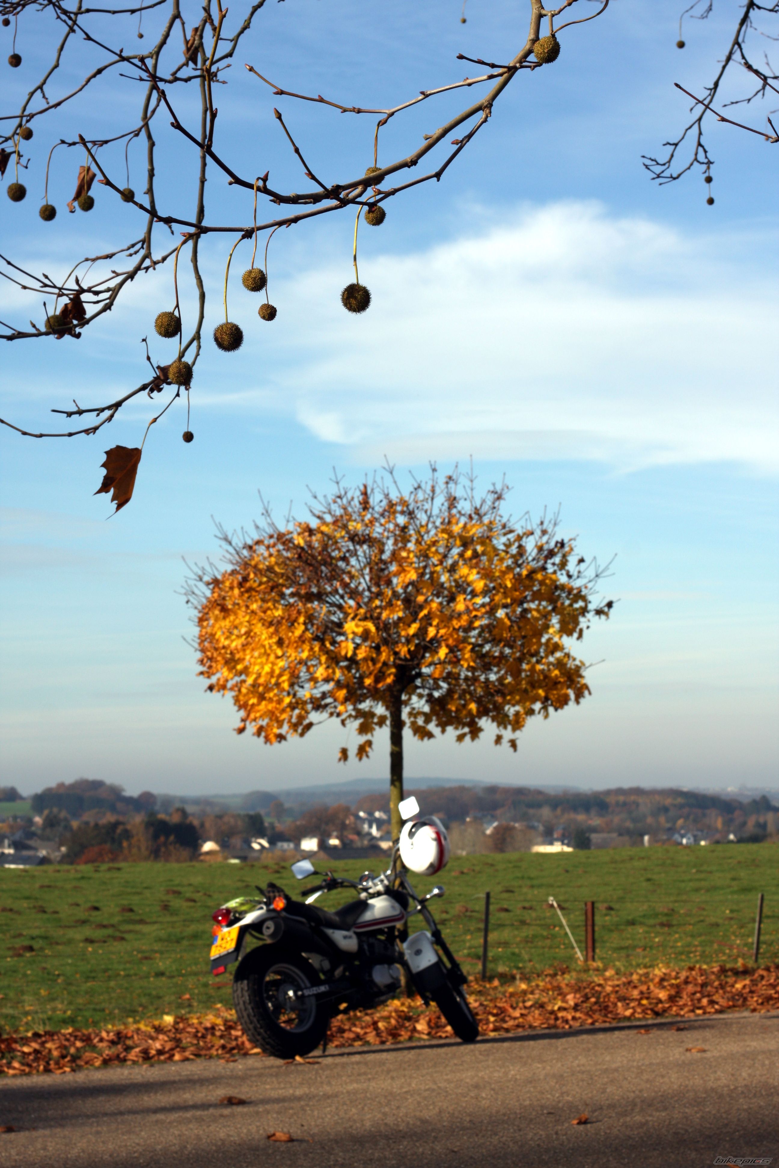Bike Photo 2301595
