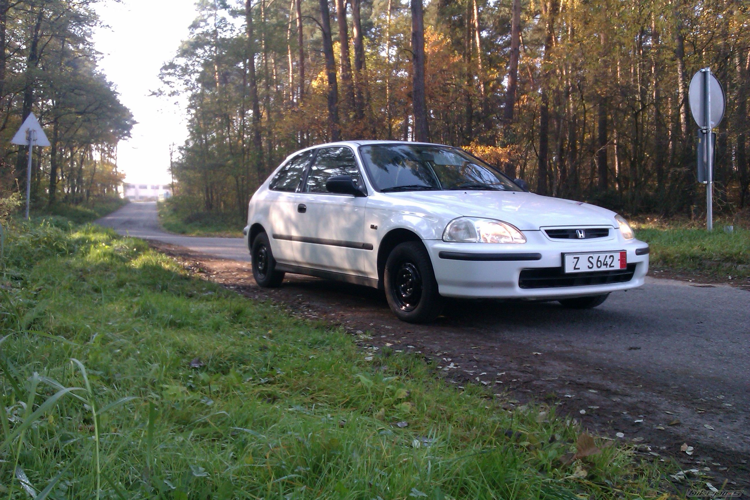 Photo 2301684