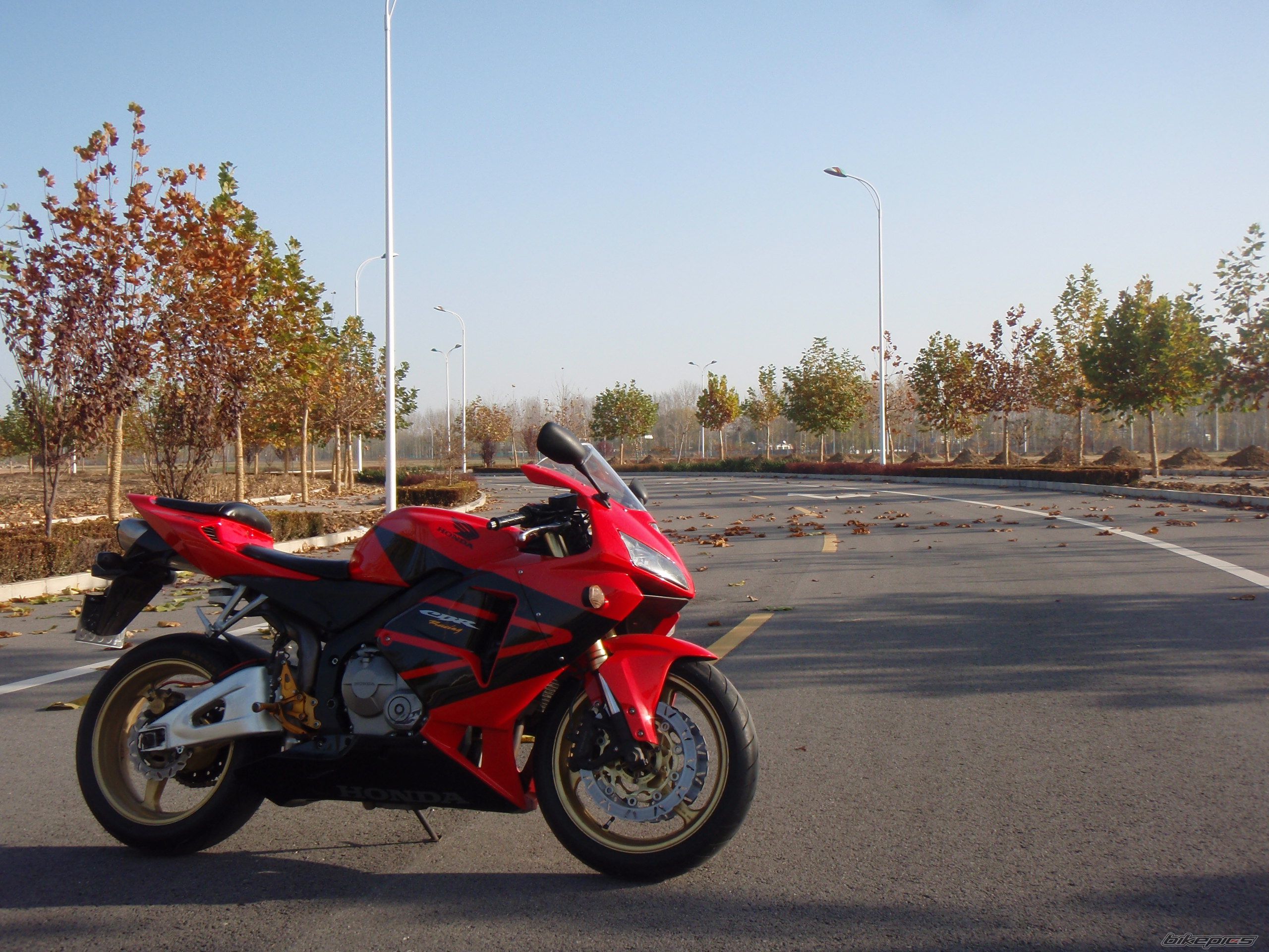 Photo 2301757