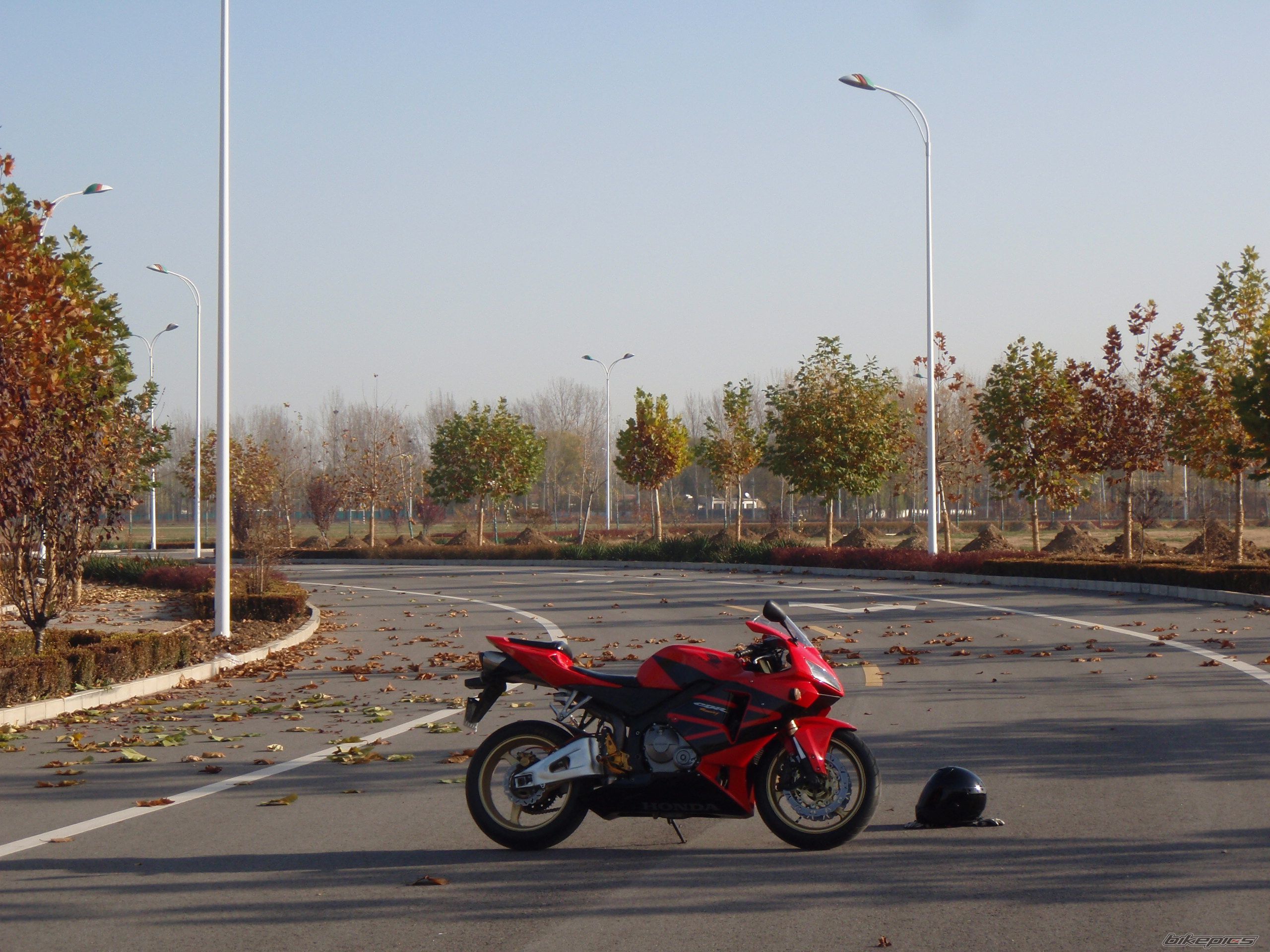 Photo 2301761