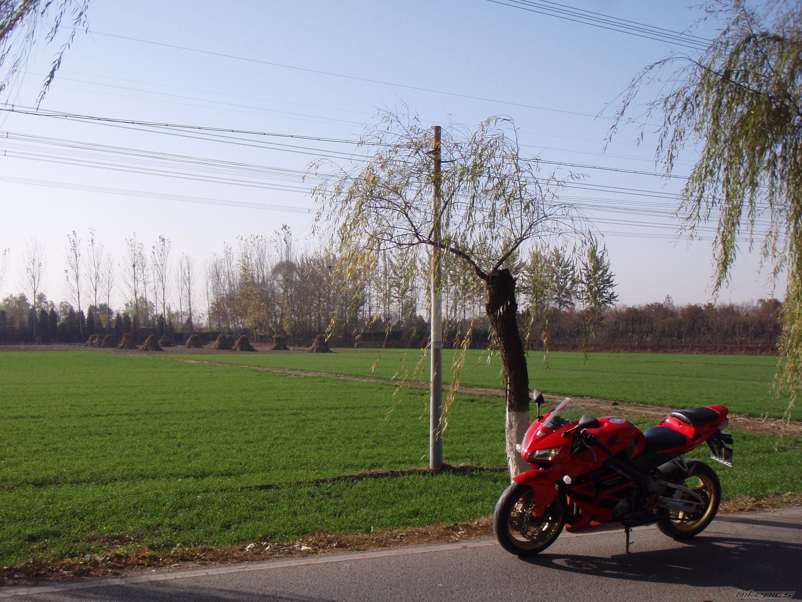 Photo 2301766