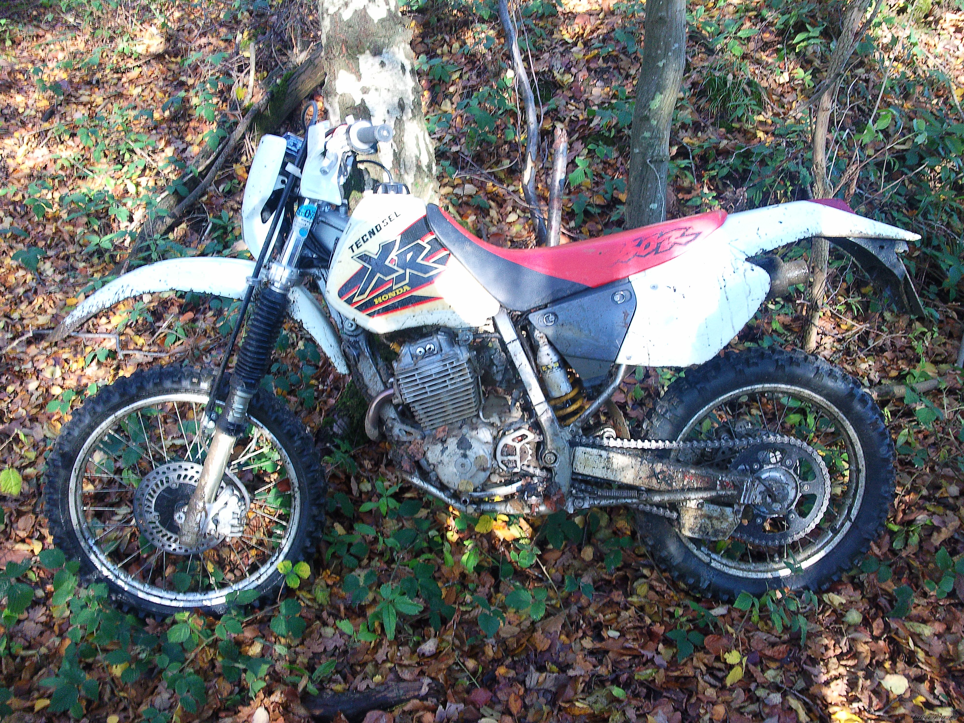 Bike Photo 2301853