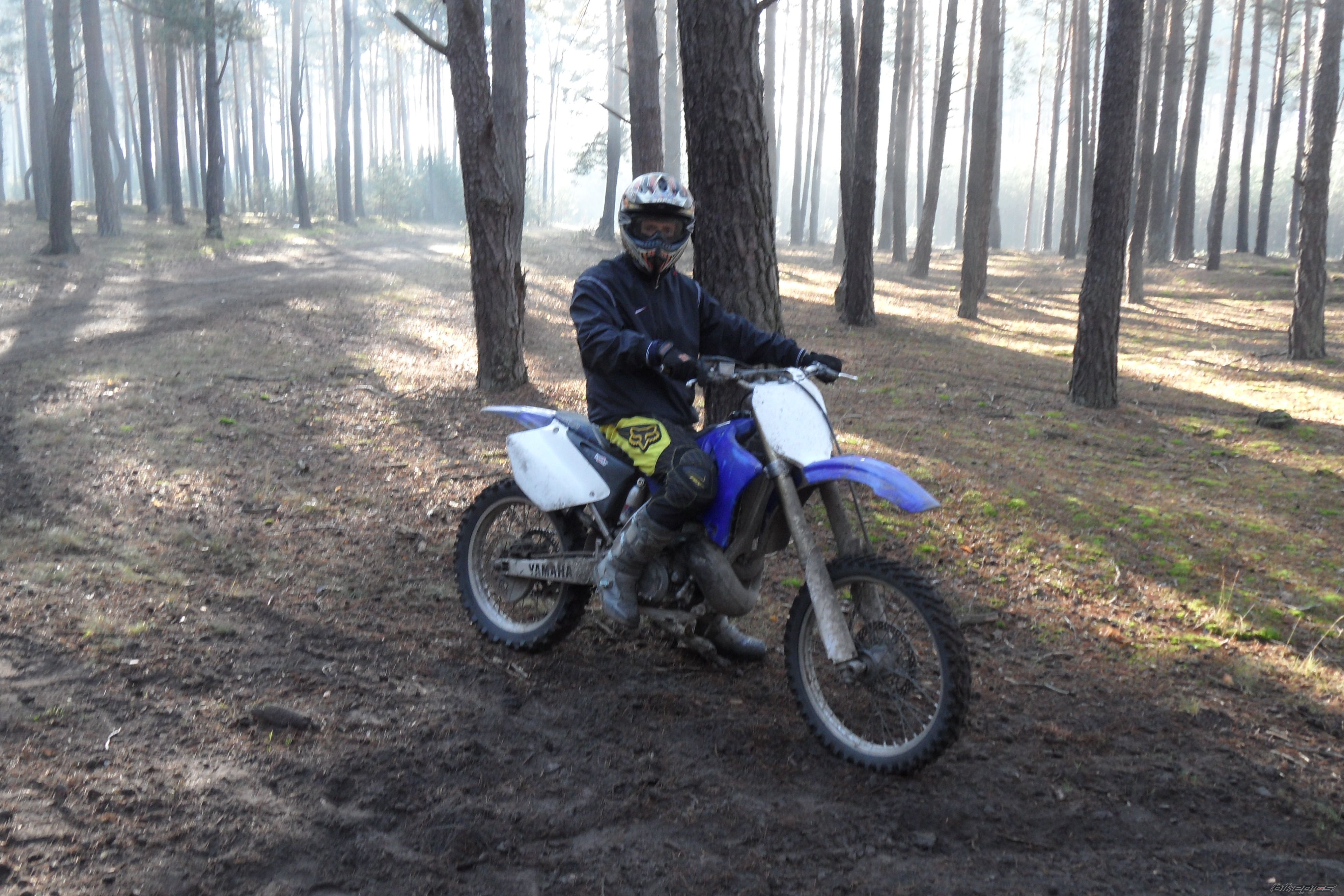 Photo 2301893